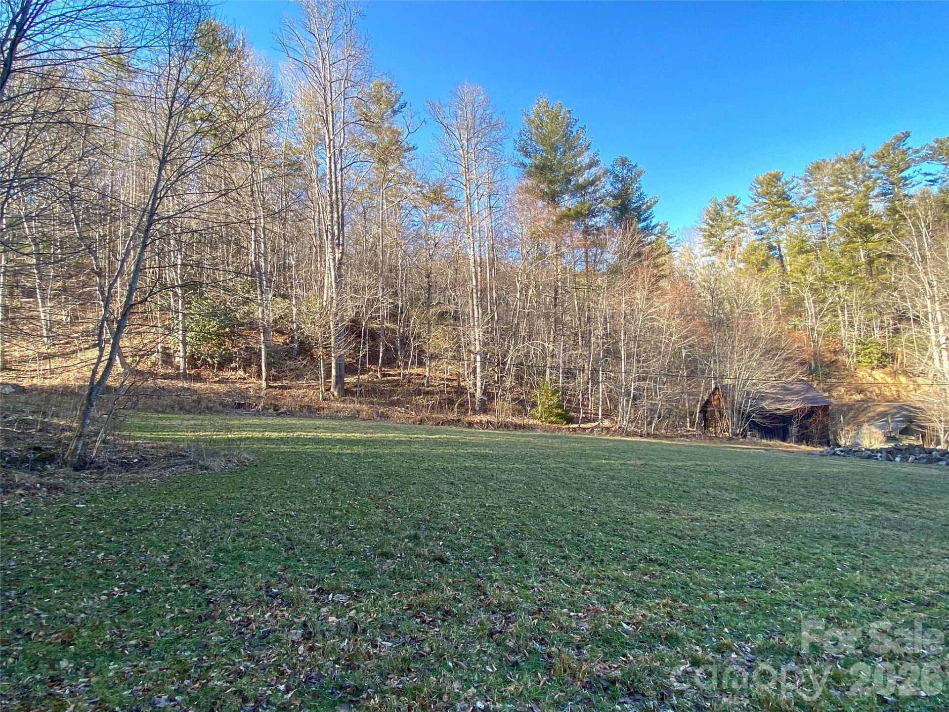 7385 Big Pine Road - Photo 13