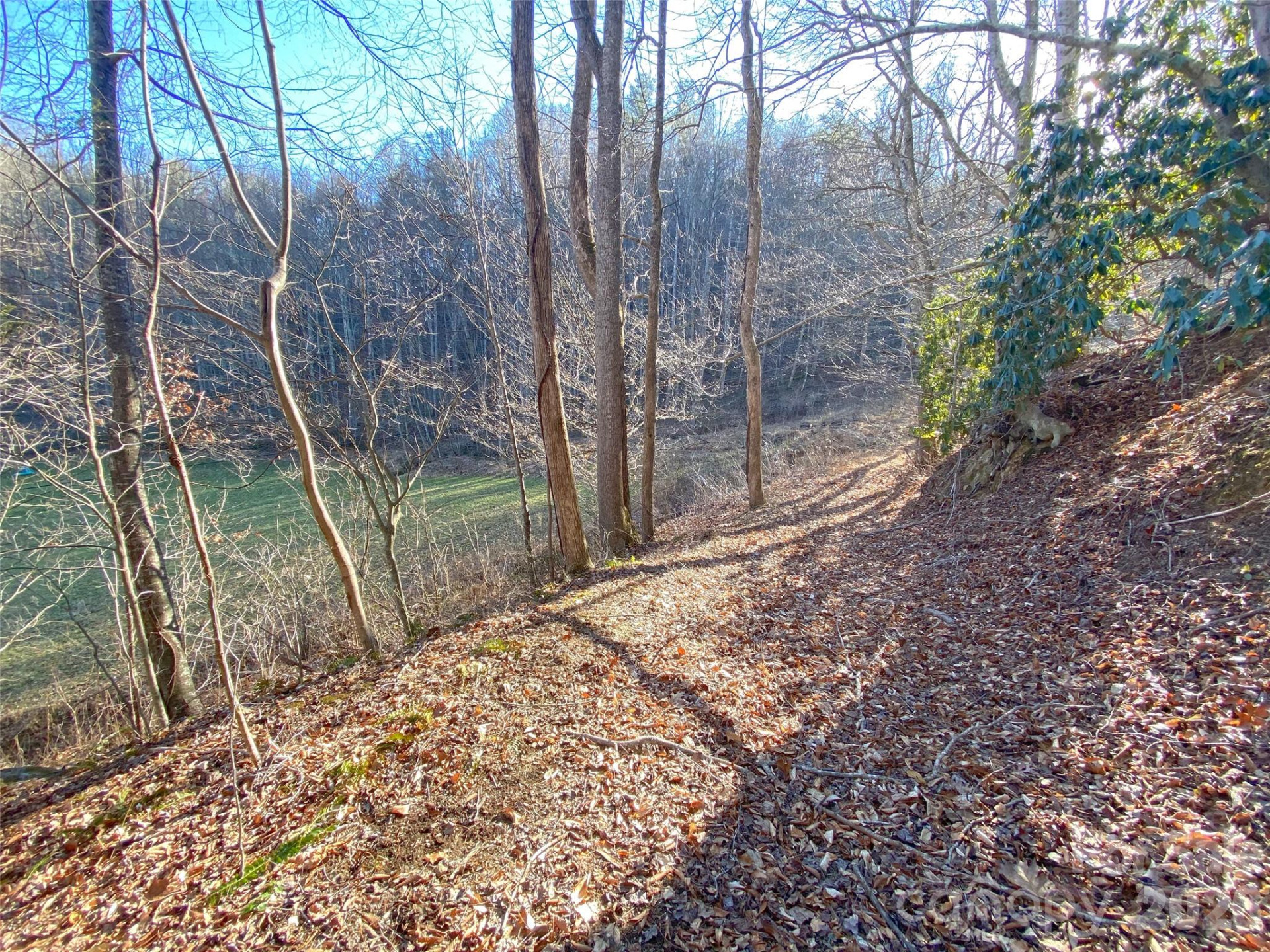 7385 Big Pine Road - Photo 14