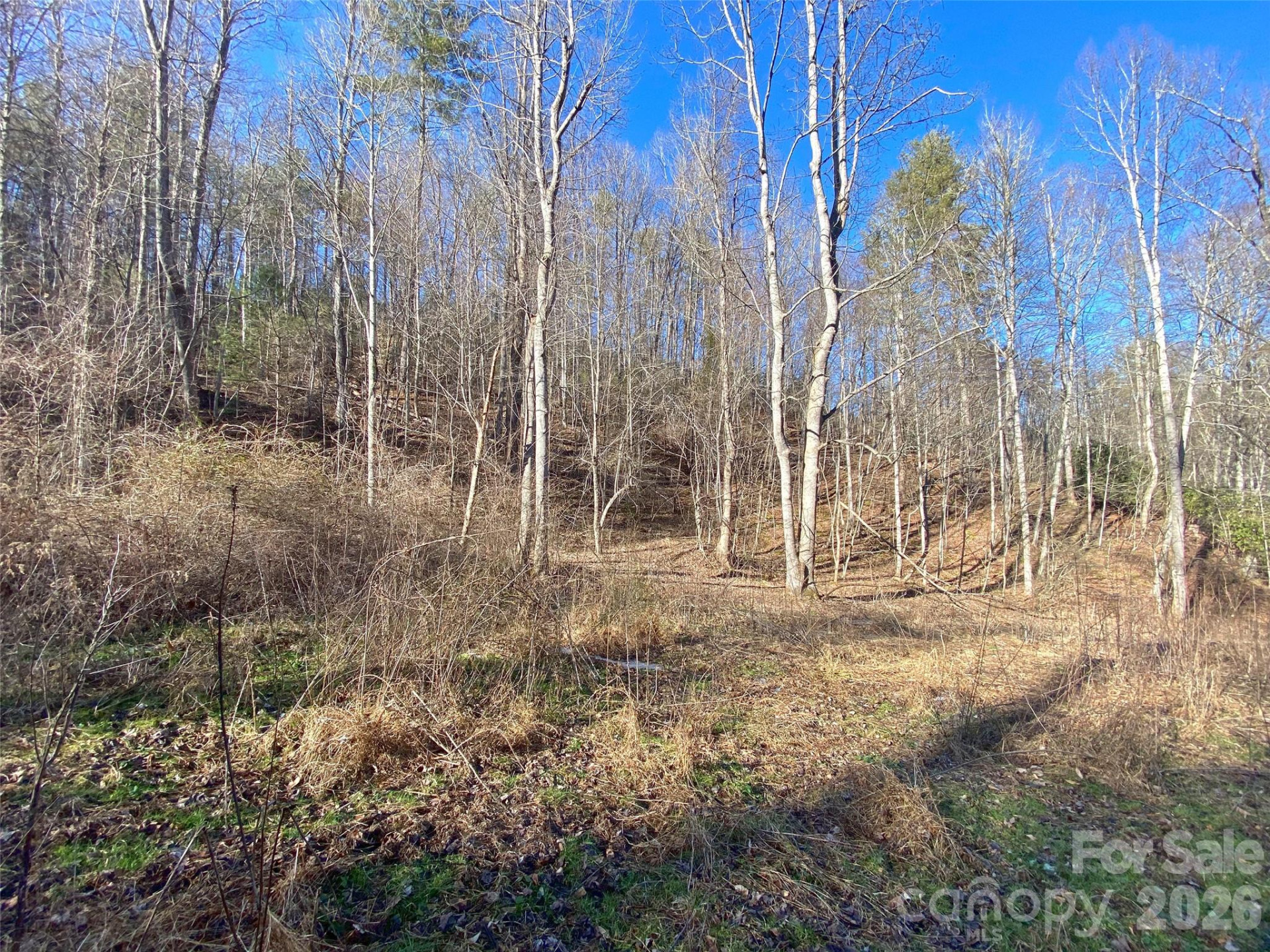 7385 Big Pine Road - Photo 15