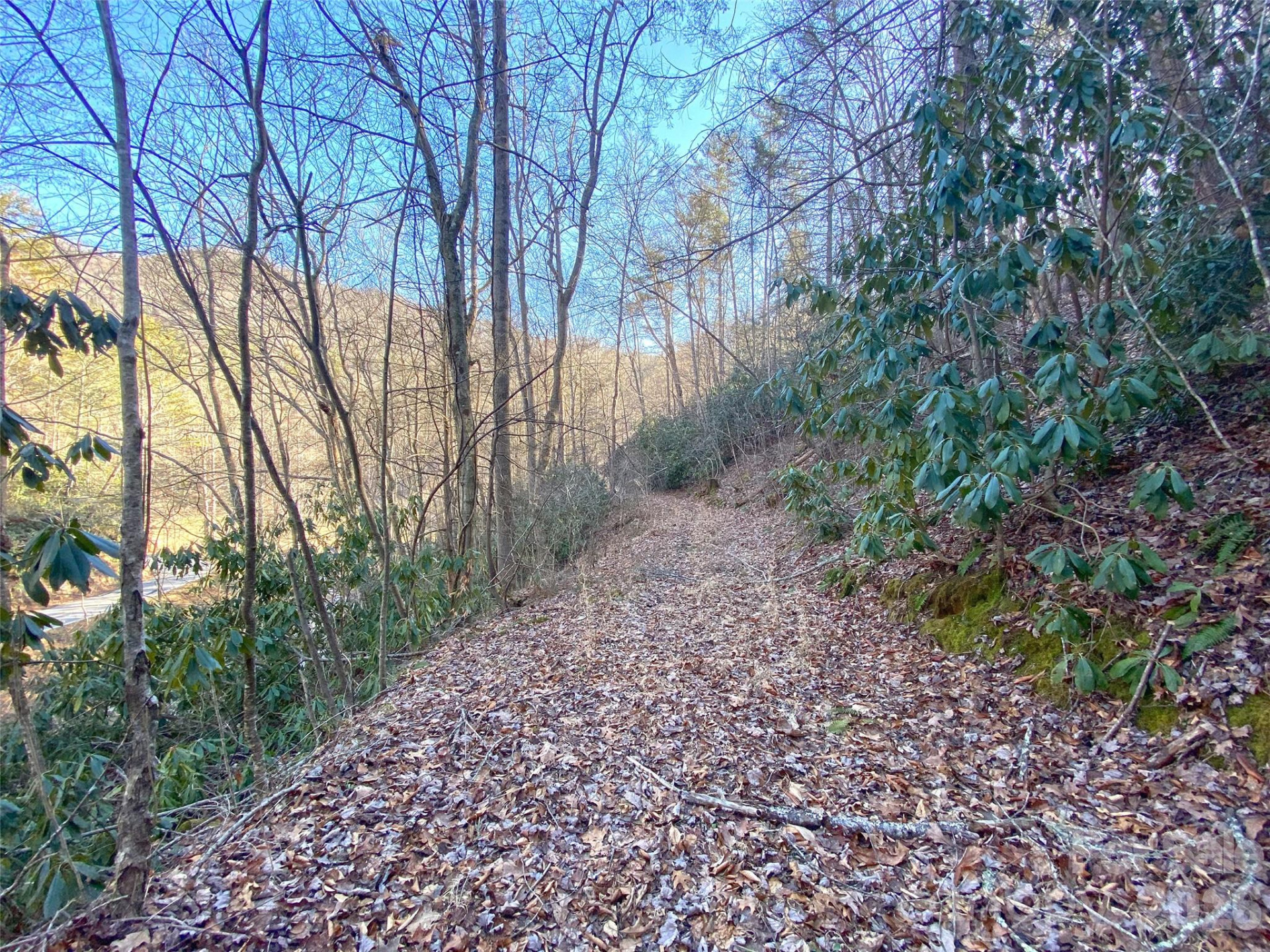 7385 Big Pine Road - Photo 16