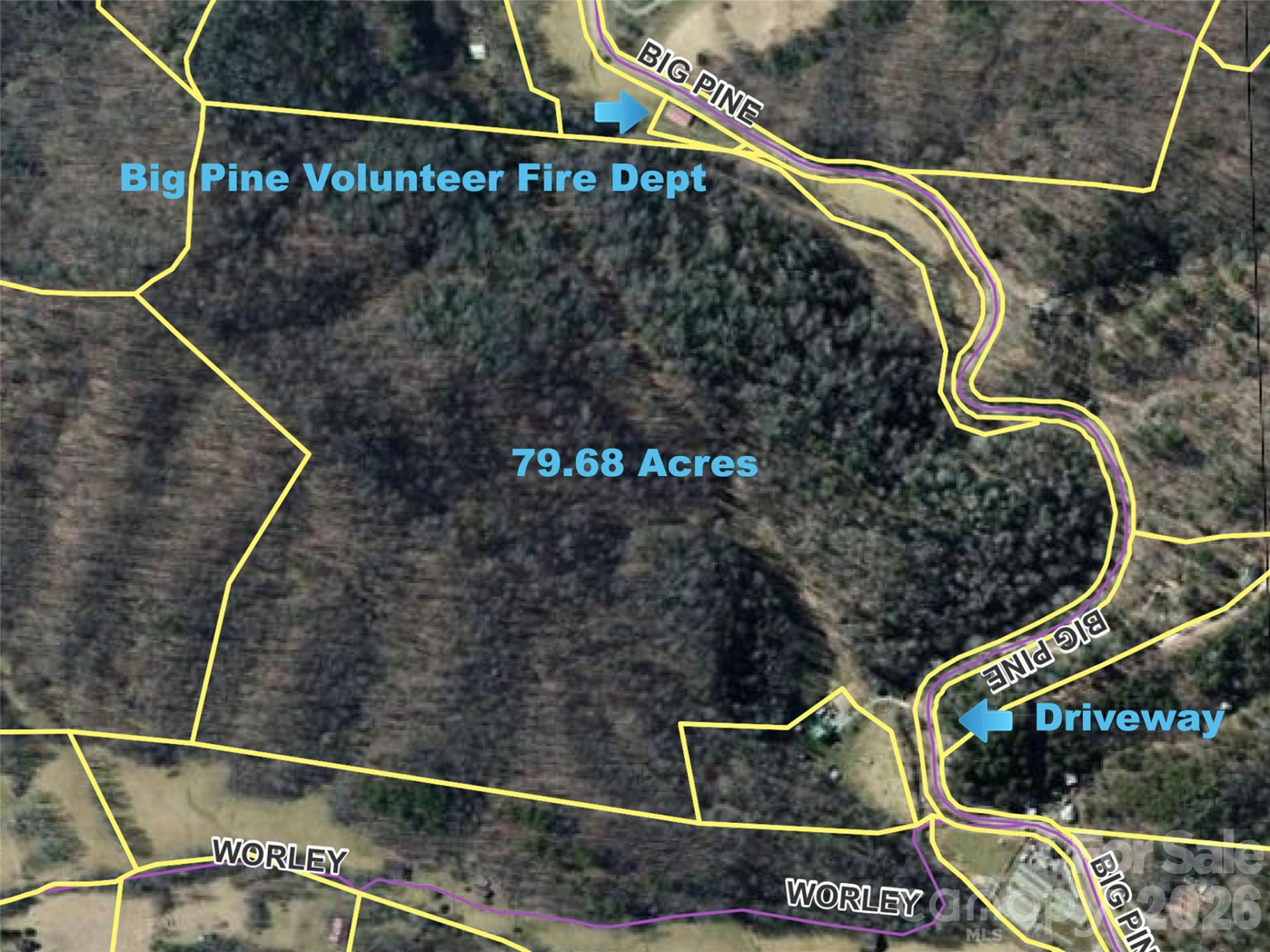 7385 Big Pine Road - Photo 3