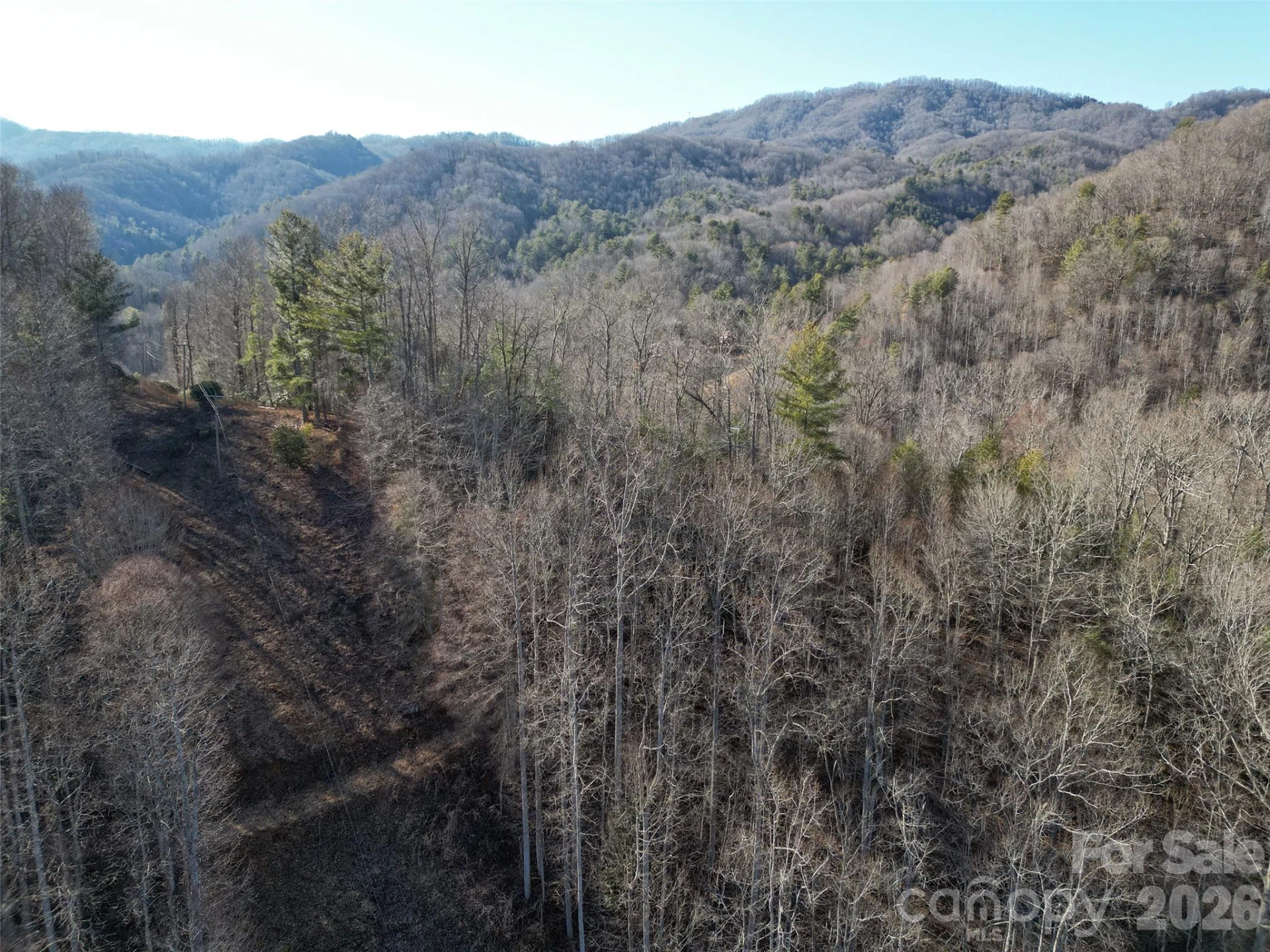 7385 Big Pine Road - Photo 21
