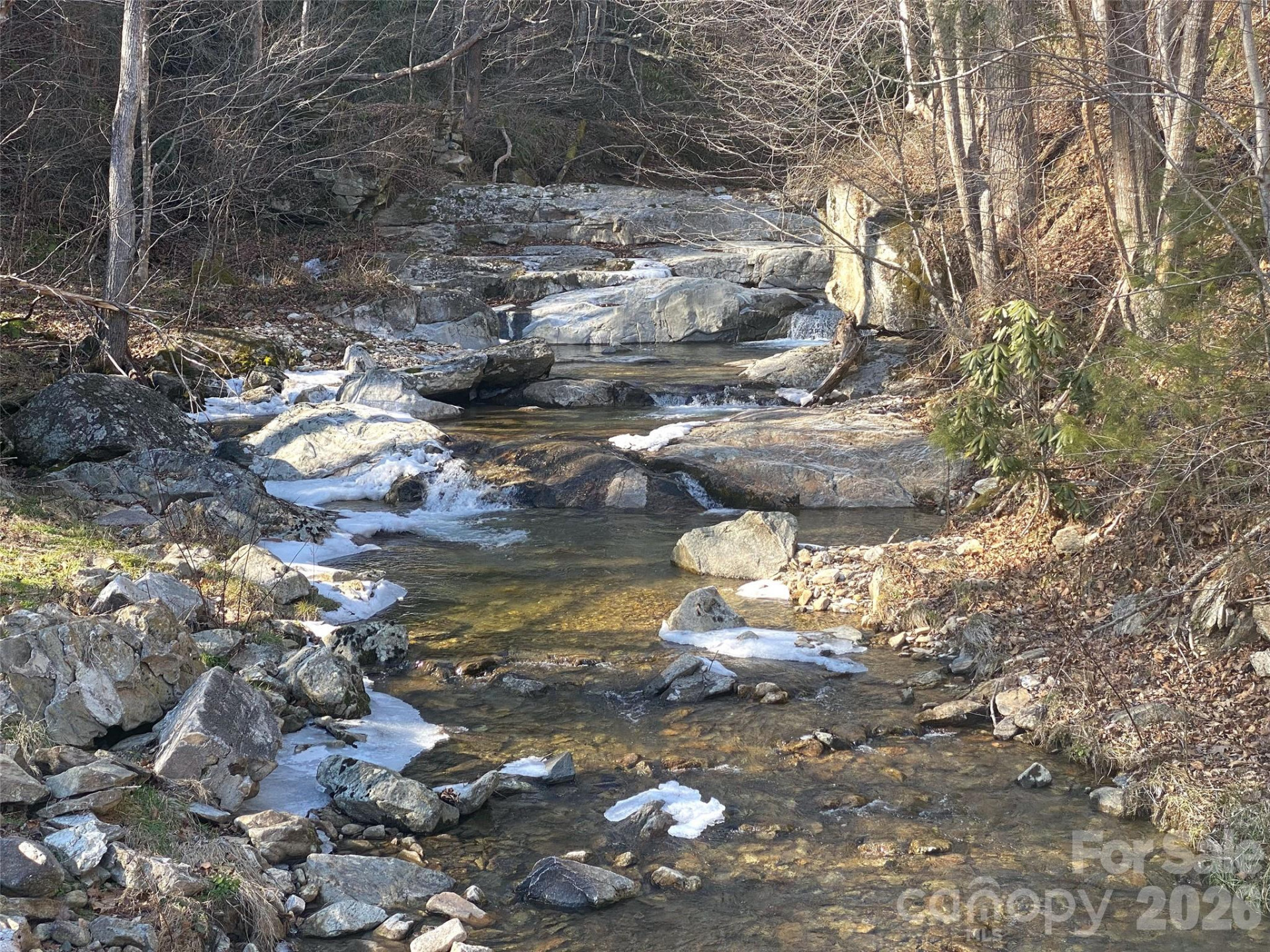 7385 Big Pine Road - Photo 26