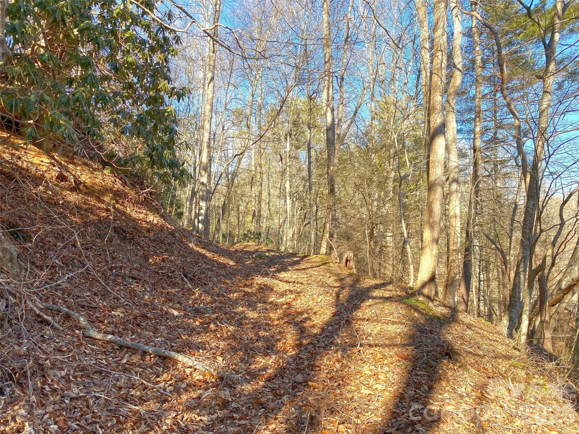 7385 Big Pine Road - Photo 27