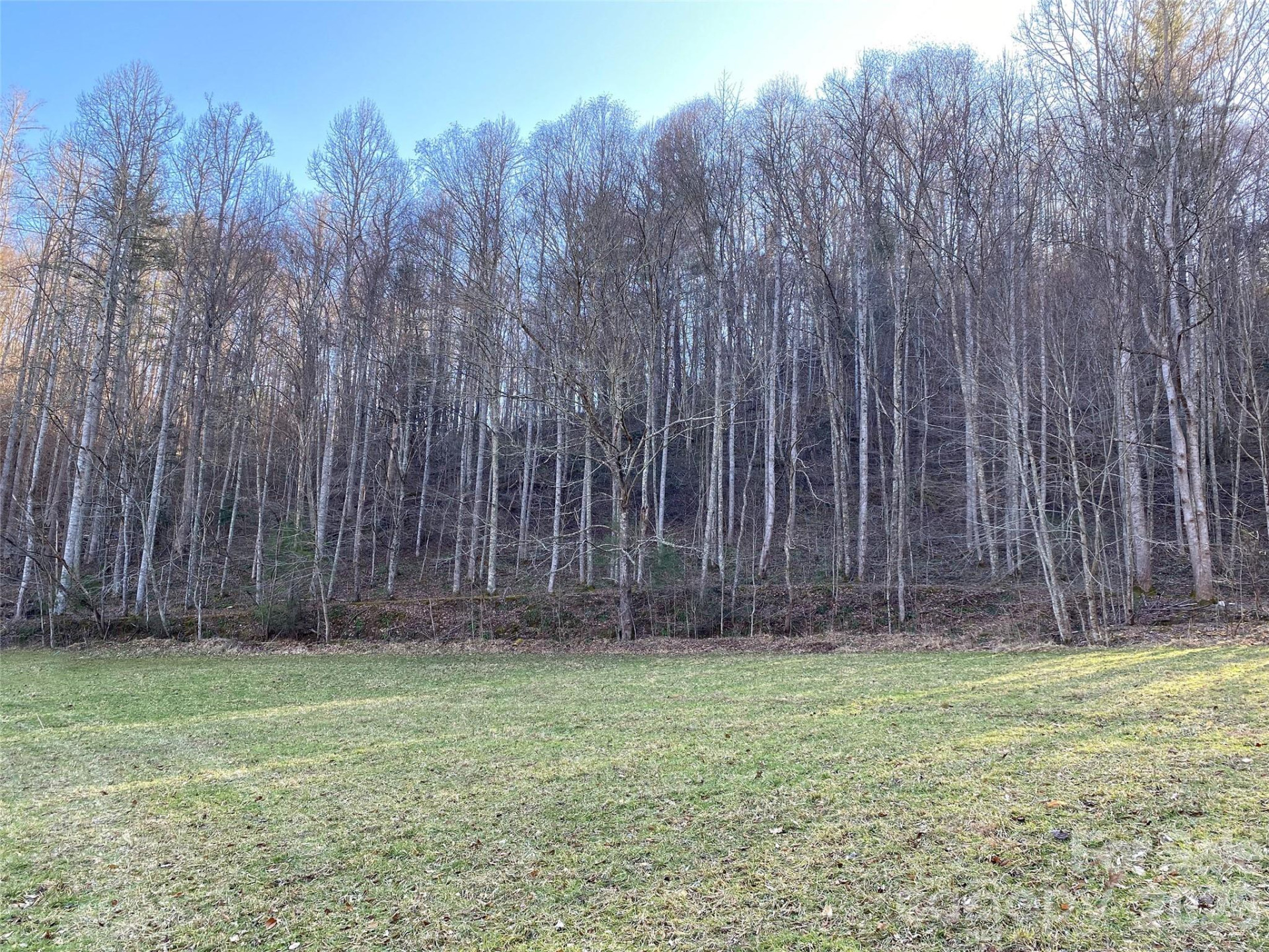 7385 Big Pine Road - Photo 30