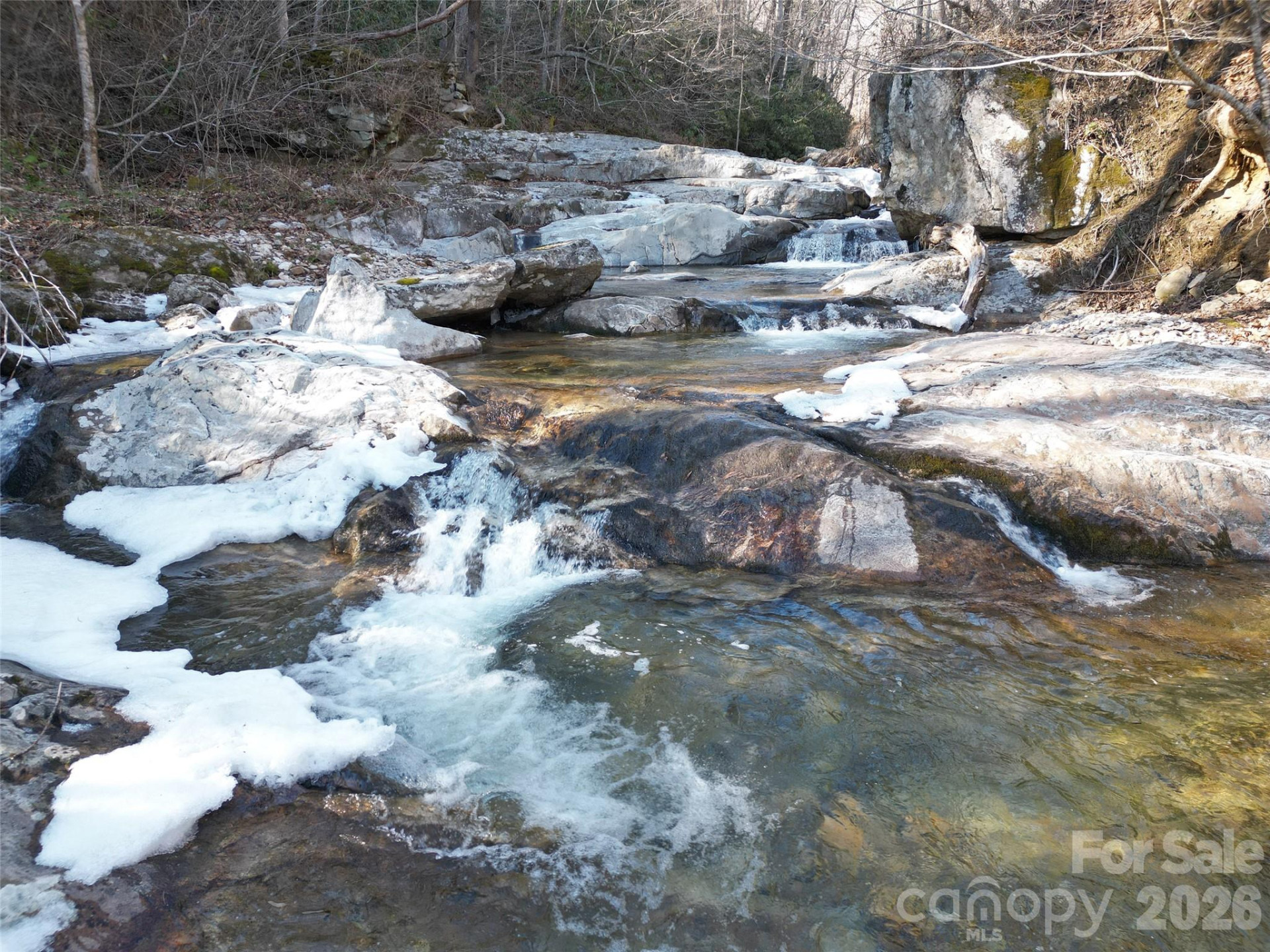 7385 Big Pine Road - Photo 4