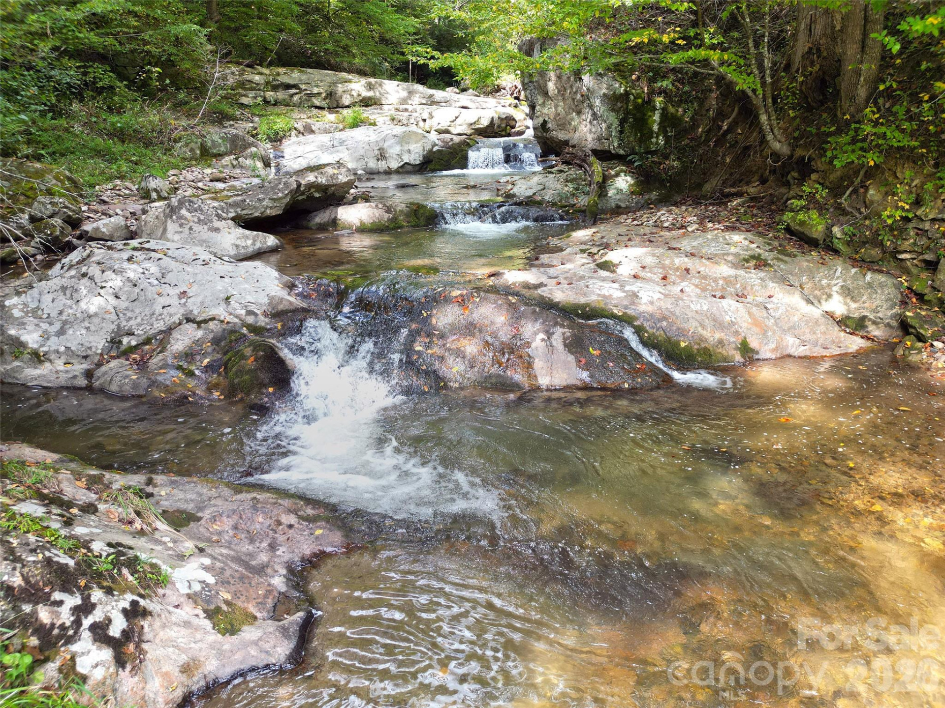 7385 Big Pine Road - Photo 36