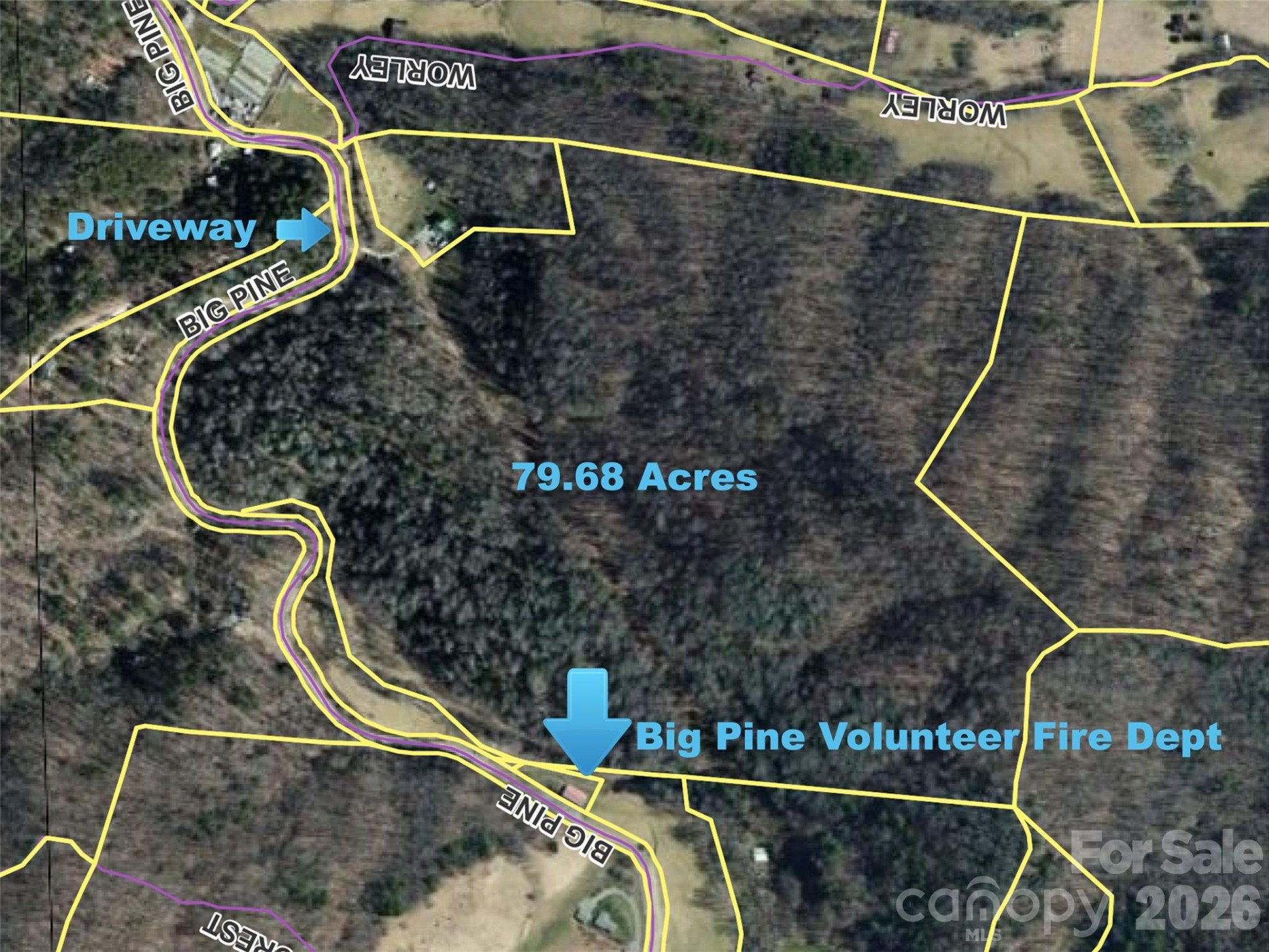 7385 Big Pine Road - Photo 8