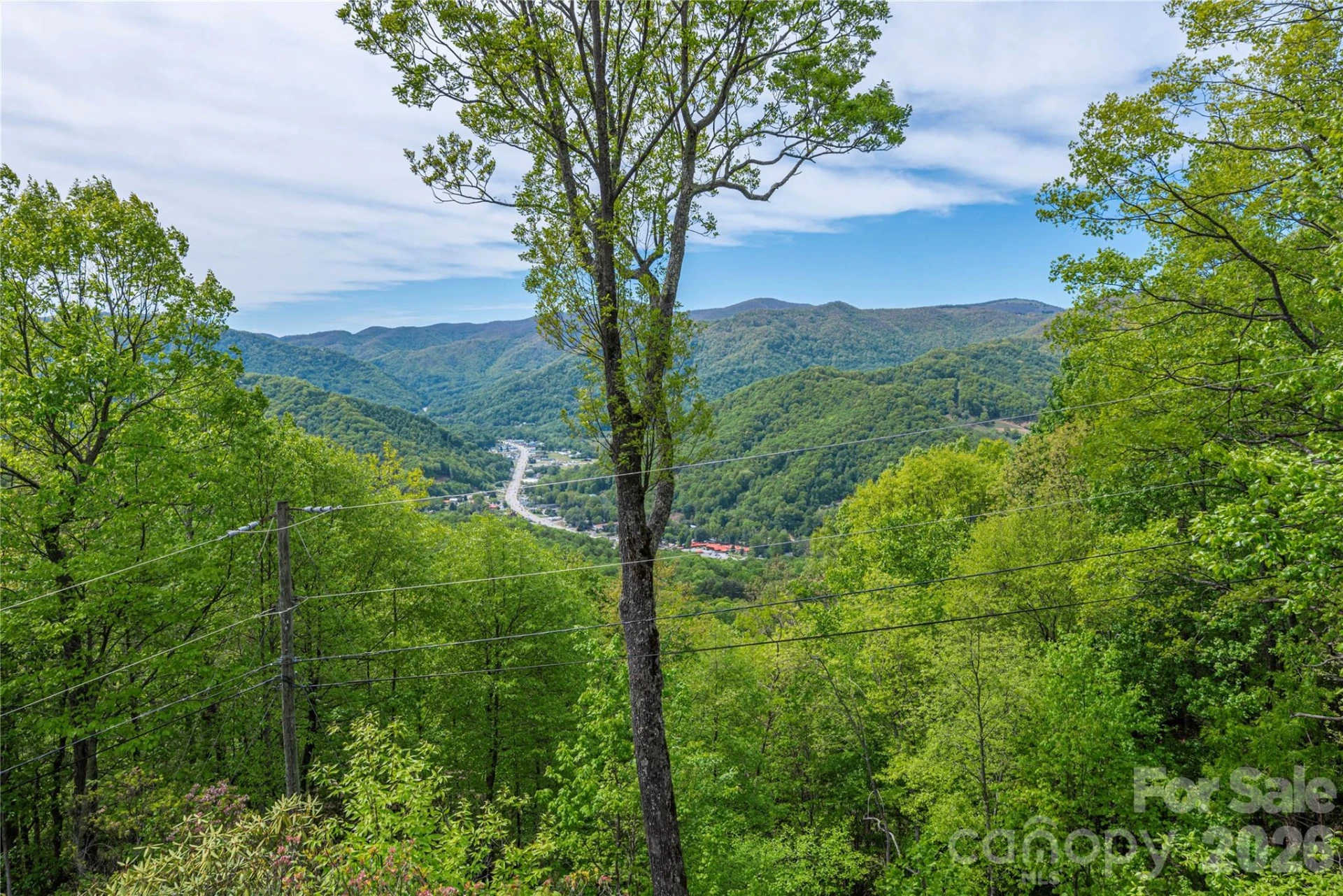 236 Dove Drive - Photo 37