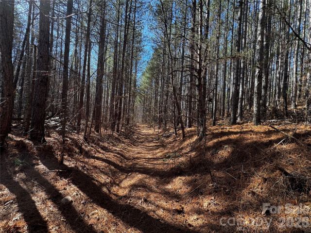 0 Painters Gap Road, Union Mills, NC, 28167