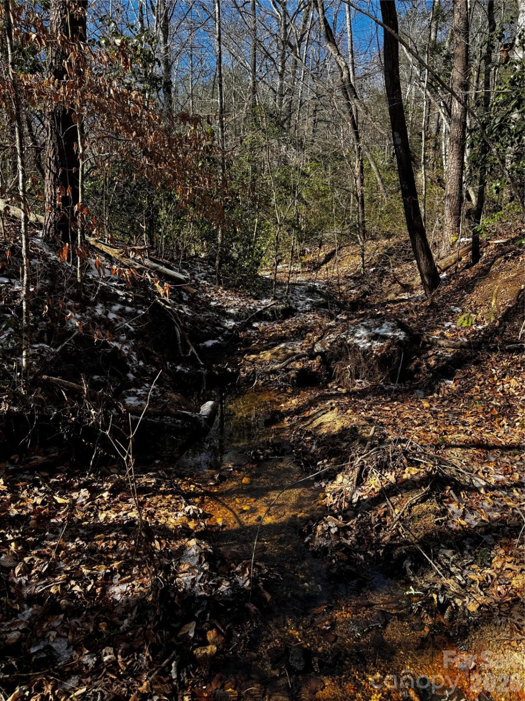 0 Painters Gap Road - Photo 2