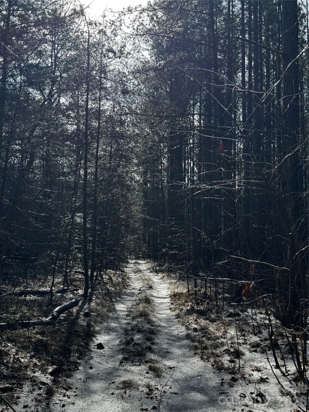 0 Painters Gap Road - Photo 12