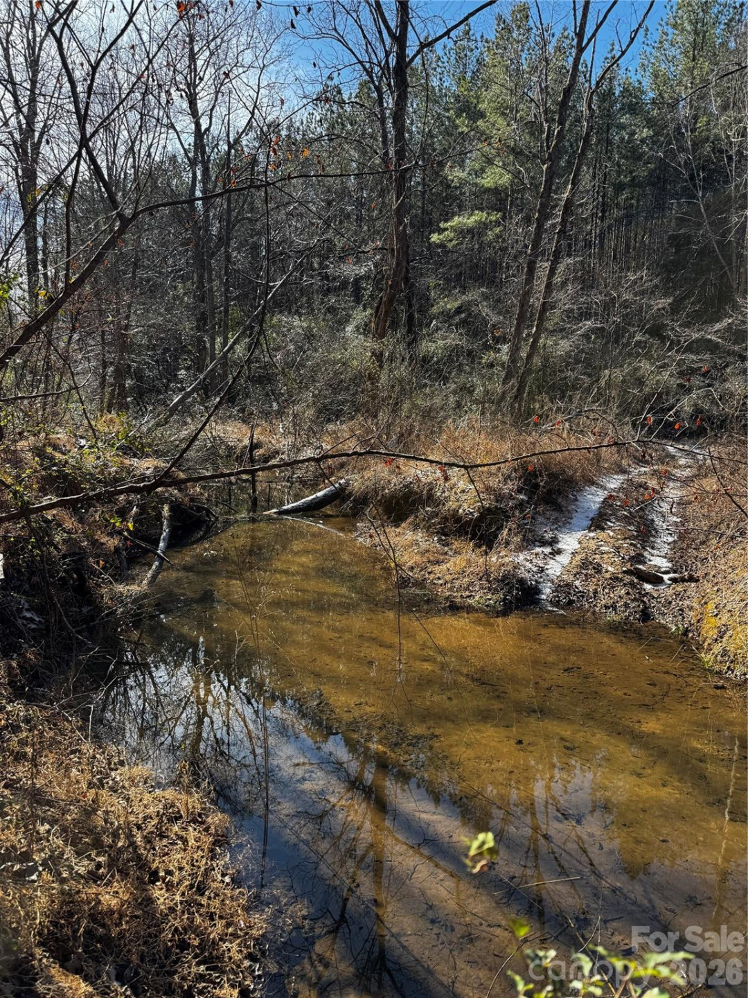 0 Painters Gap Road - Photo 13