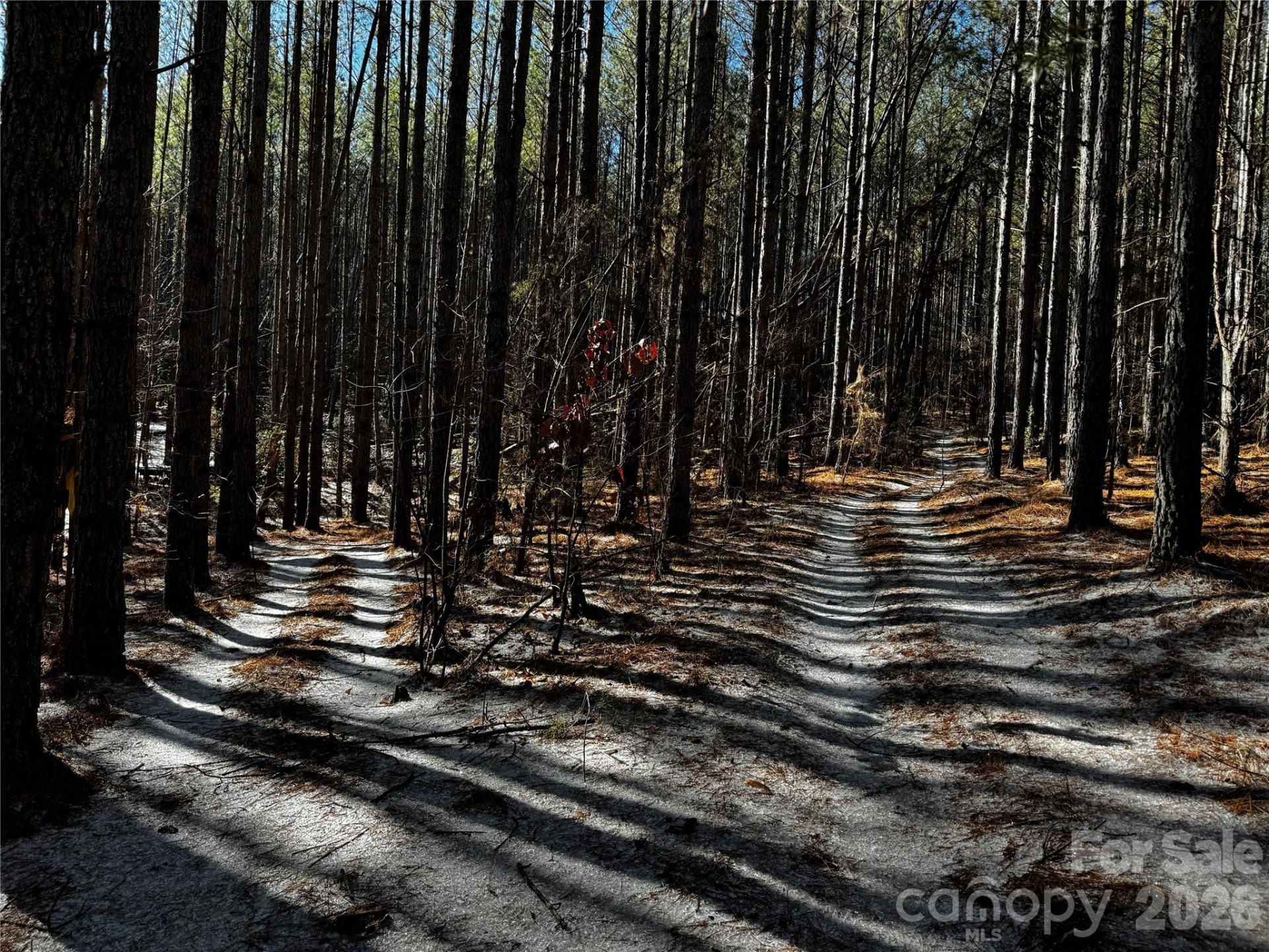 0 Painters Gap Road - Photo 15