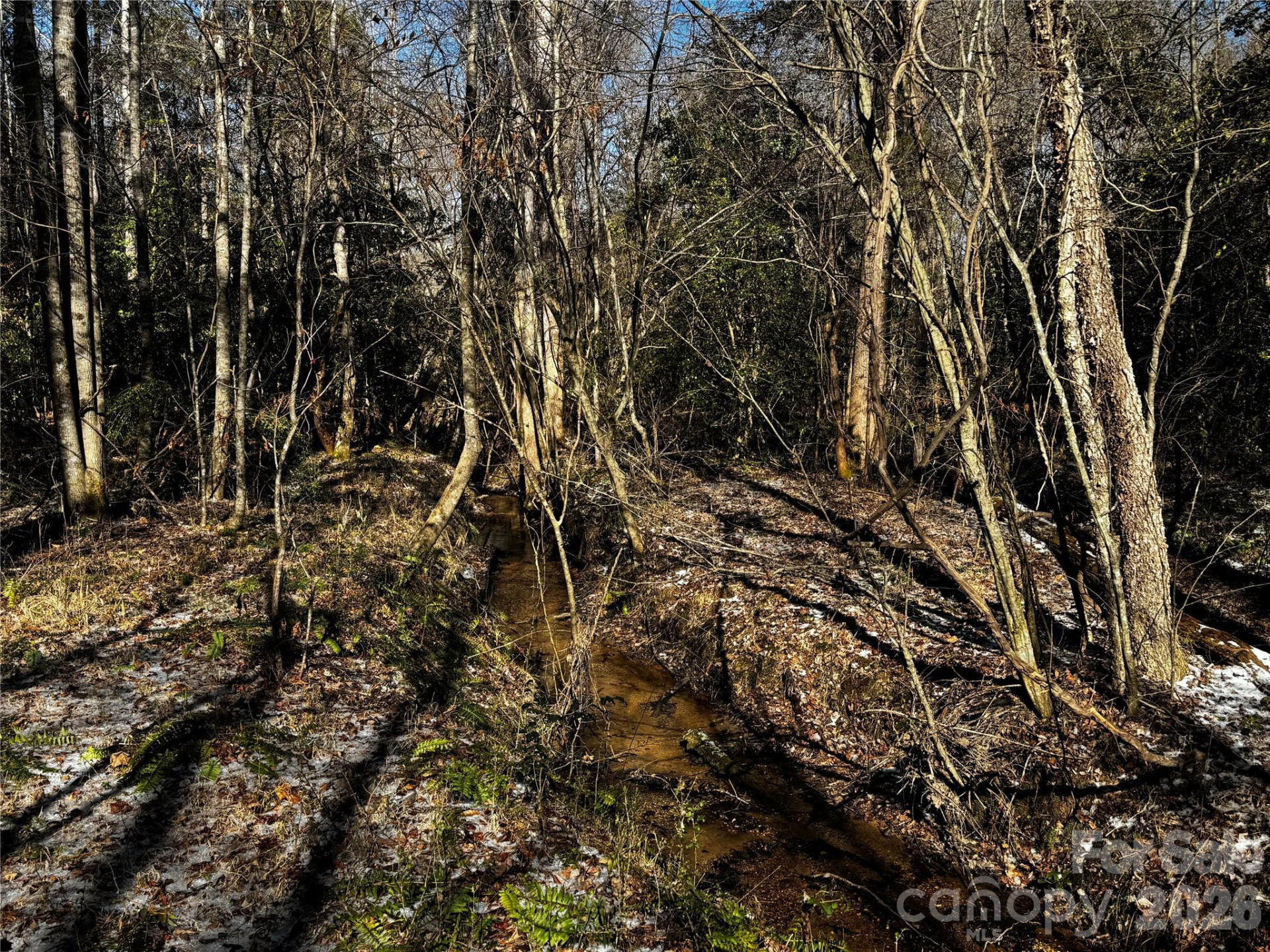 0 Painters Gap Road - Photo 16