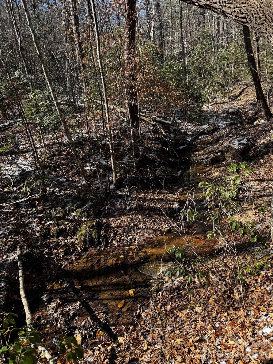 0 Painters Gap Road - Photo 17