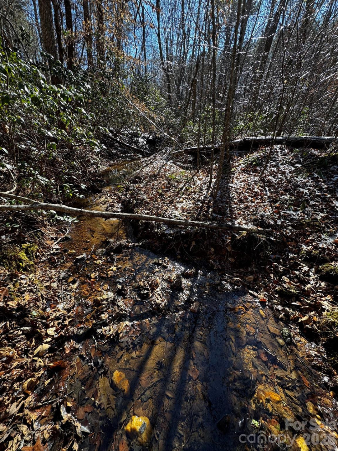 0 Painters Gap Road - Photo 18