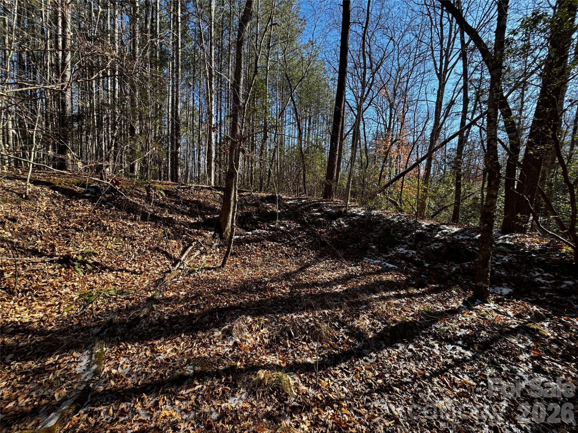 0 Painters Gap Road - Photo 19