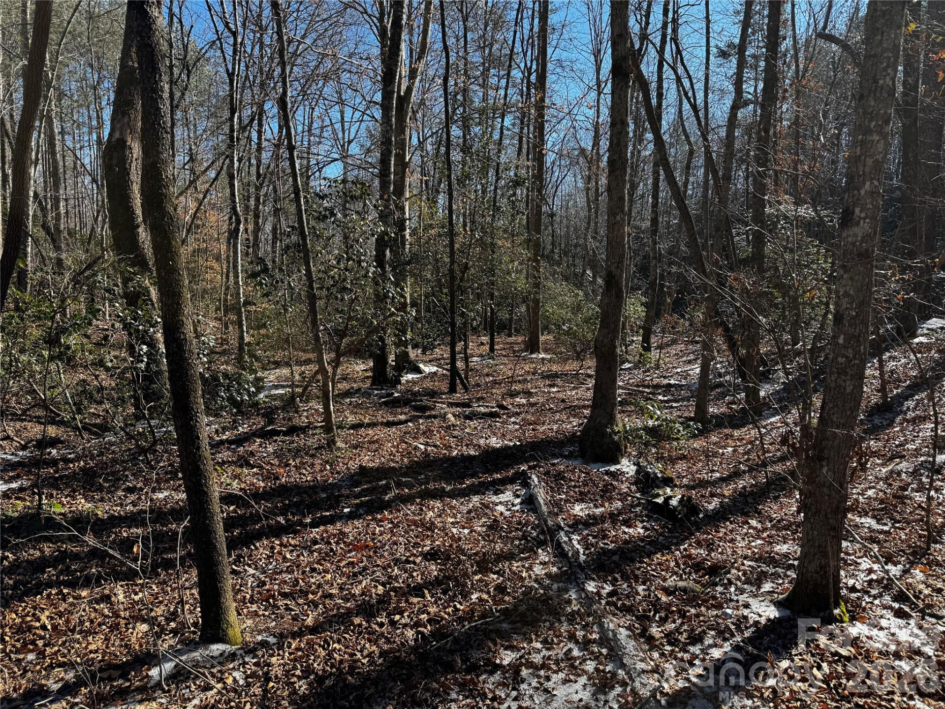 0 Painters Gap Road - Photo 20