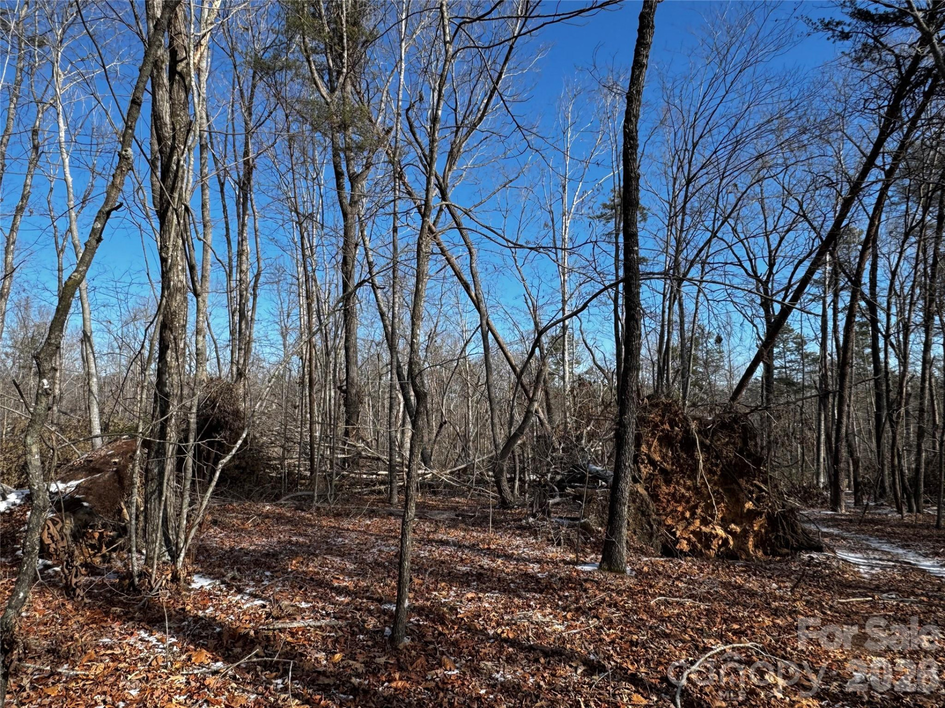 0 Painters Gap Road - Photo 3