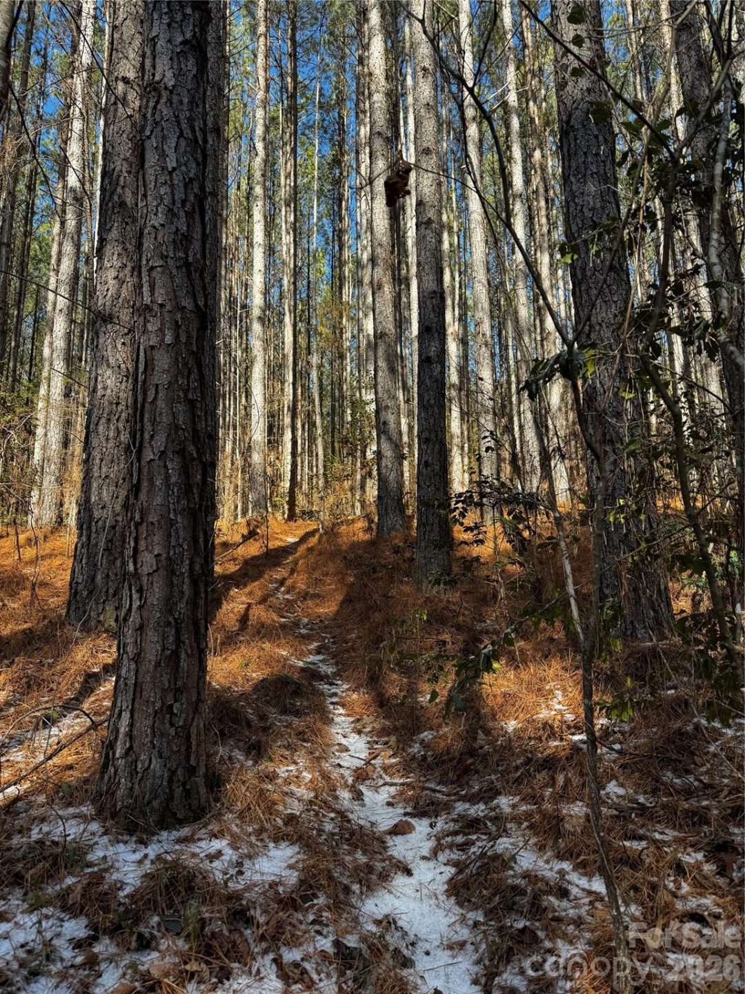 0 Painters Gap Road - Photo 21