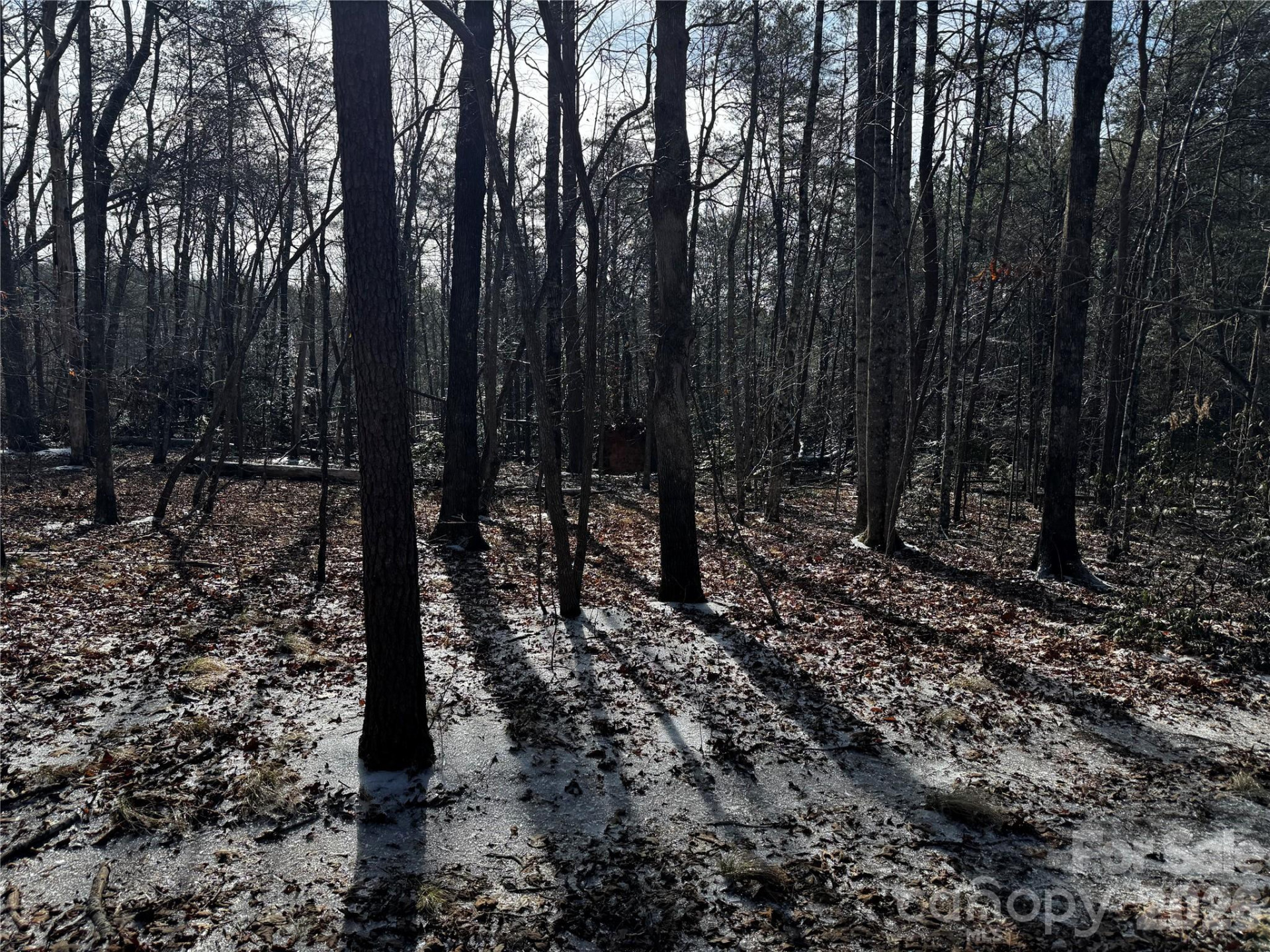 0 Painters Gap Road - Photo 22