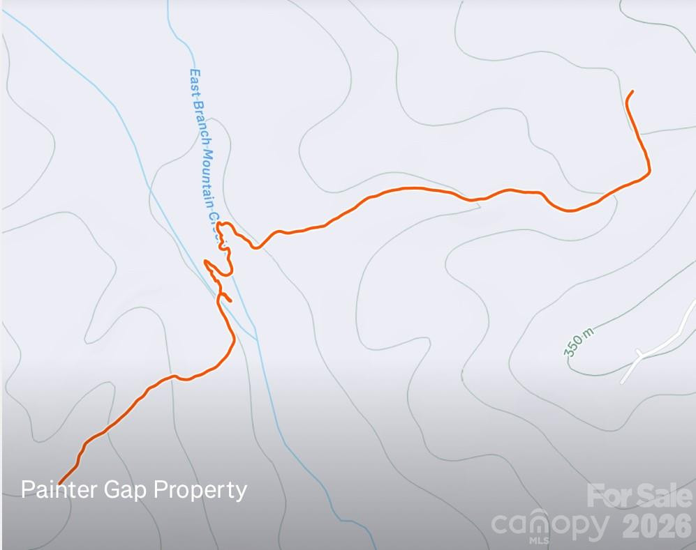 0 Painters Gap Road - Photo 24