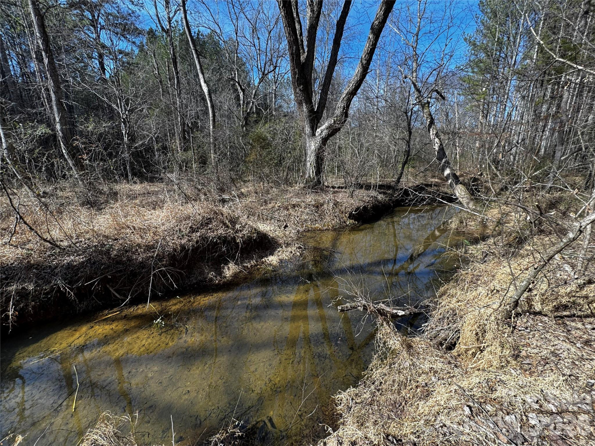 0 Painters Gap Road - Photo 27