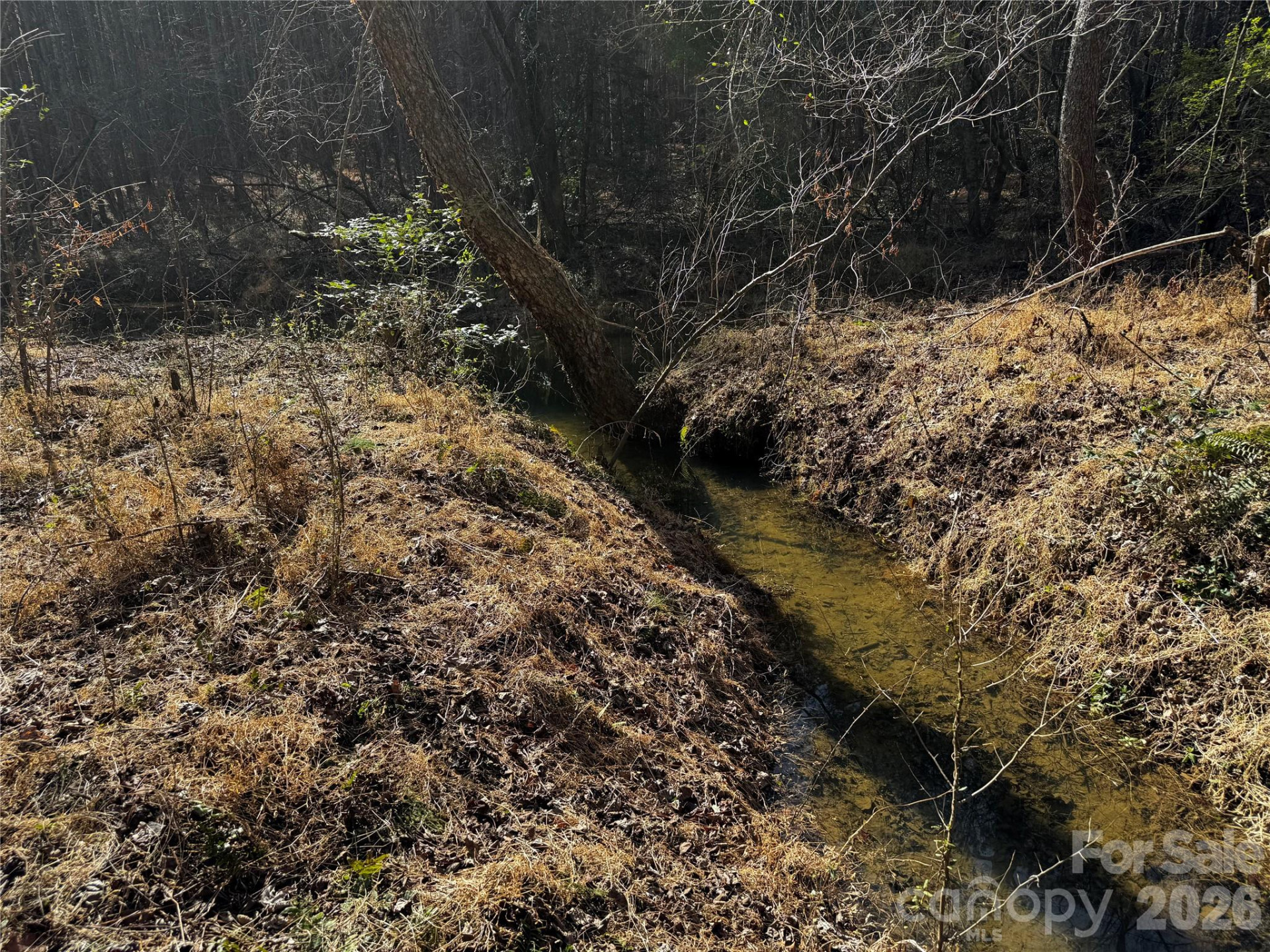 0 Painters Gap Road - Photo 28