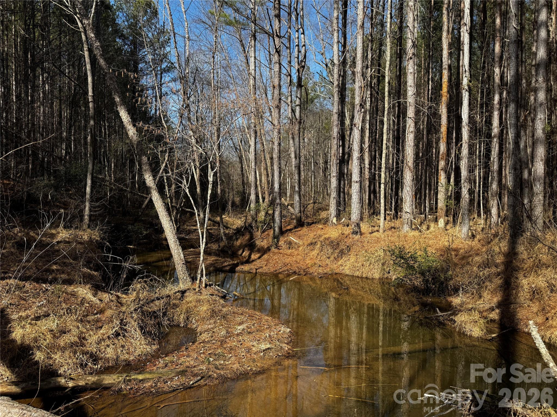 0 Painters Gap Road - Photo 29