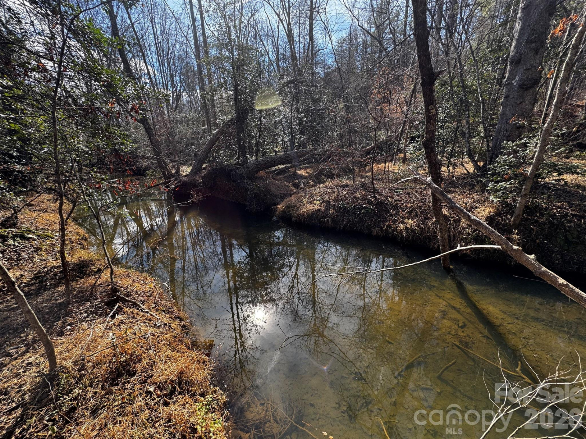 0 Painters Gap Road - Photo 30