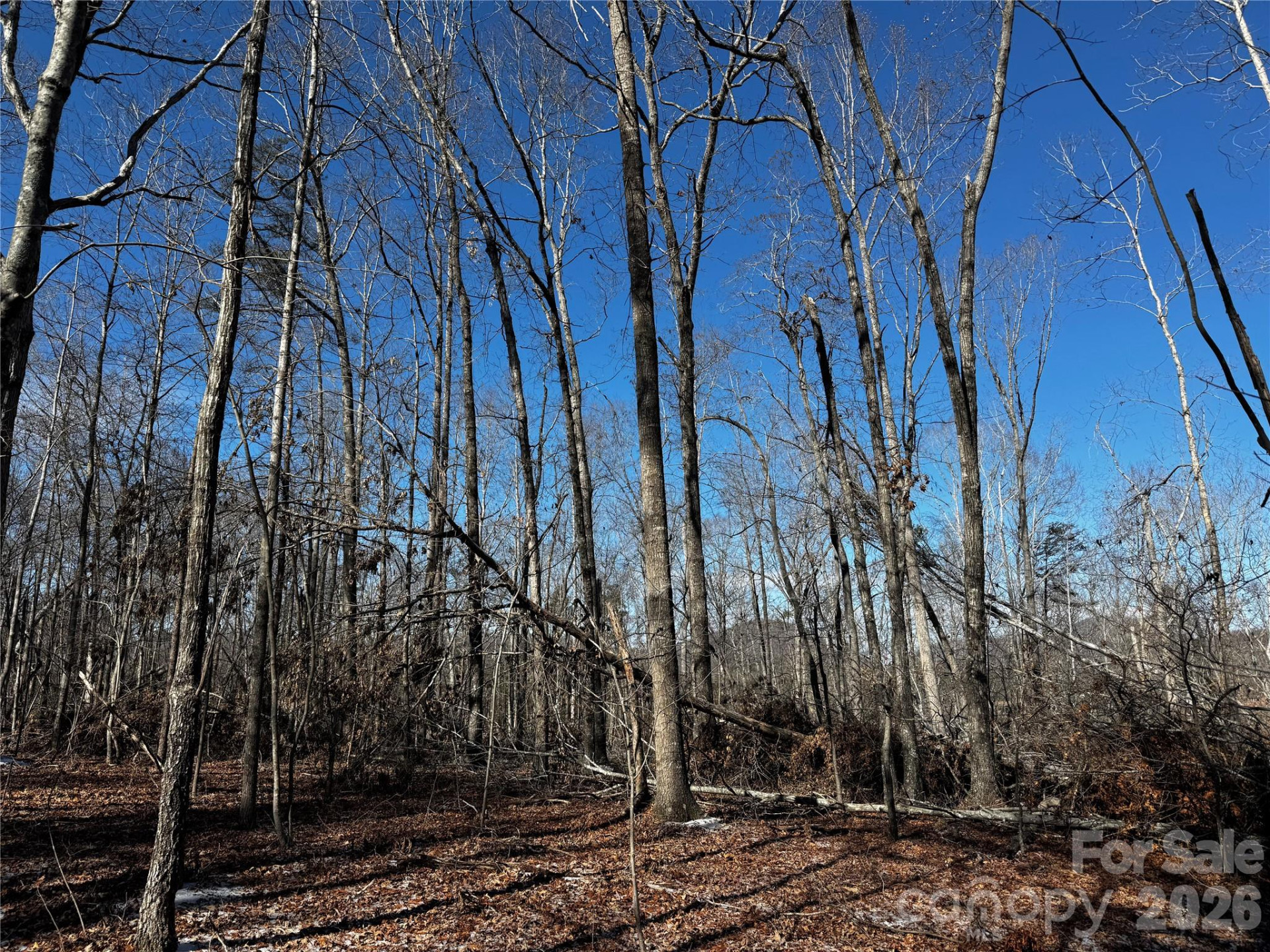 0 Painters Gap Road - Photo 6