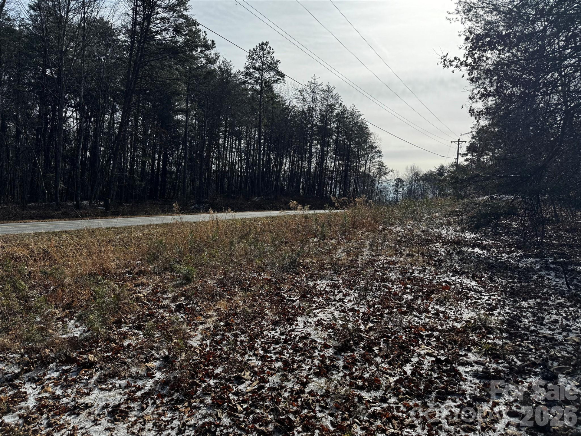 0 Painters Gap Road - Photo 8