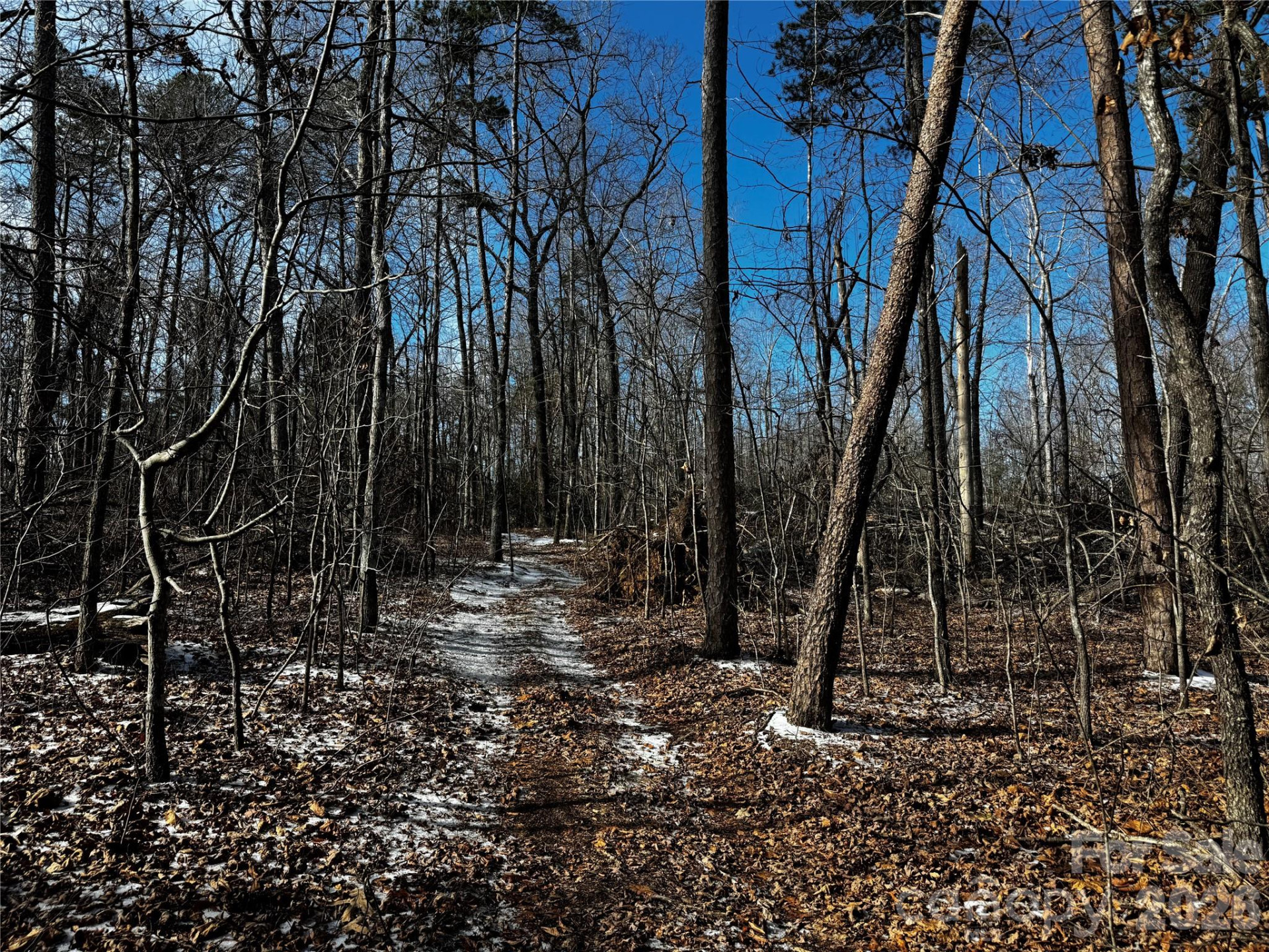 0 Painters Gap Road - Photo 9