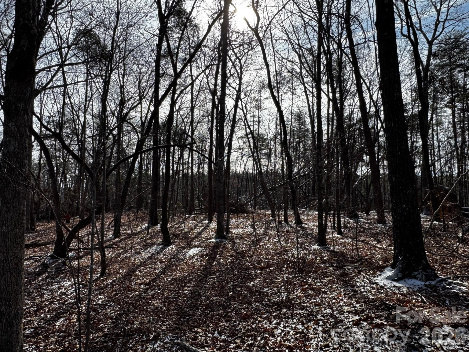 0 Painters Gap Road - Photo 10