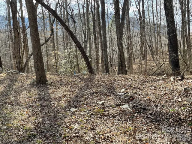 000 Max Metcalf Road, Swannanoa, NC, 28778