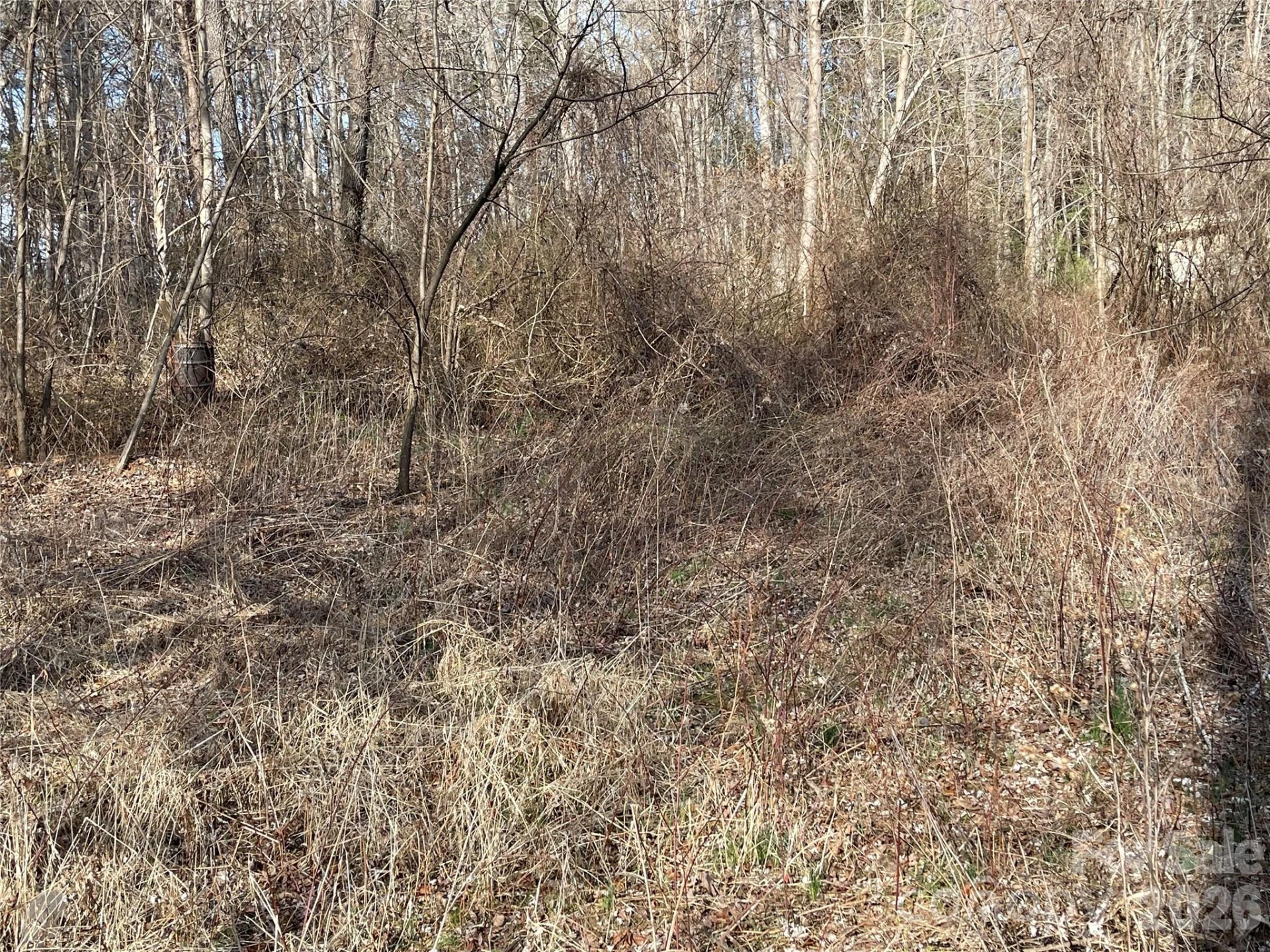 000 Max Metcalf Road - Photo 3