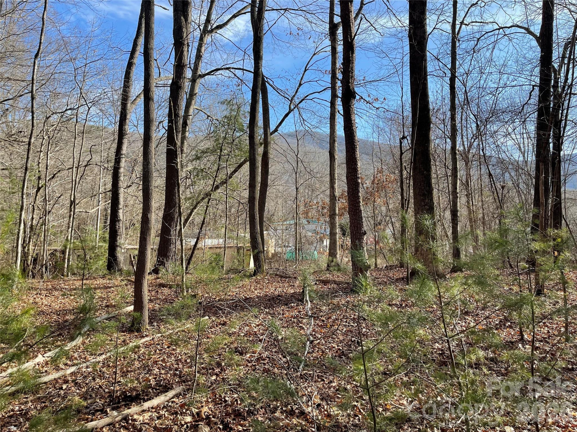 000 Max Metcalf Road - Photo 6