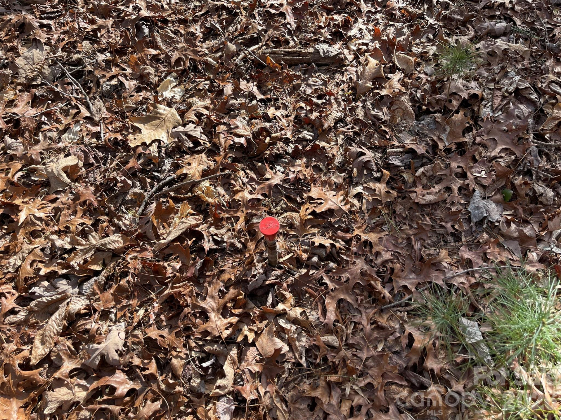 000 Max Metcalf Road - Photo 7