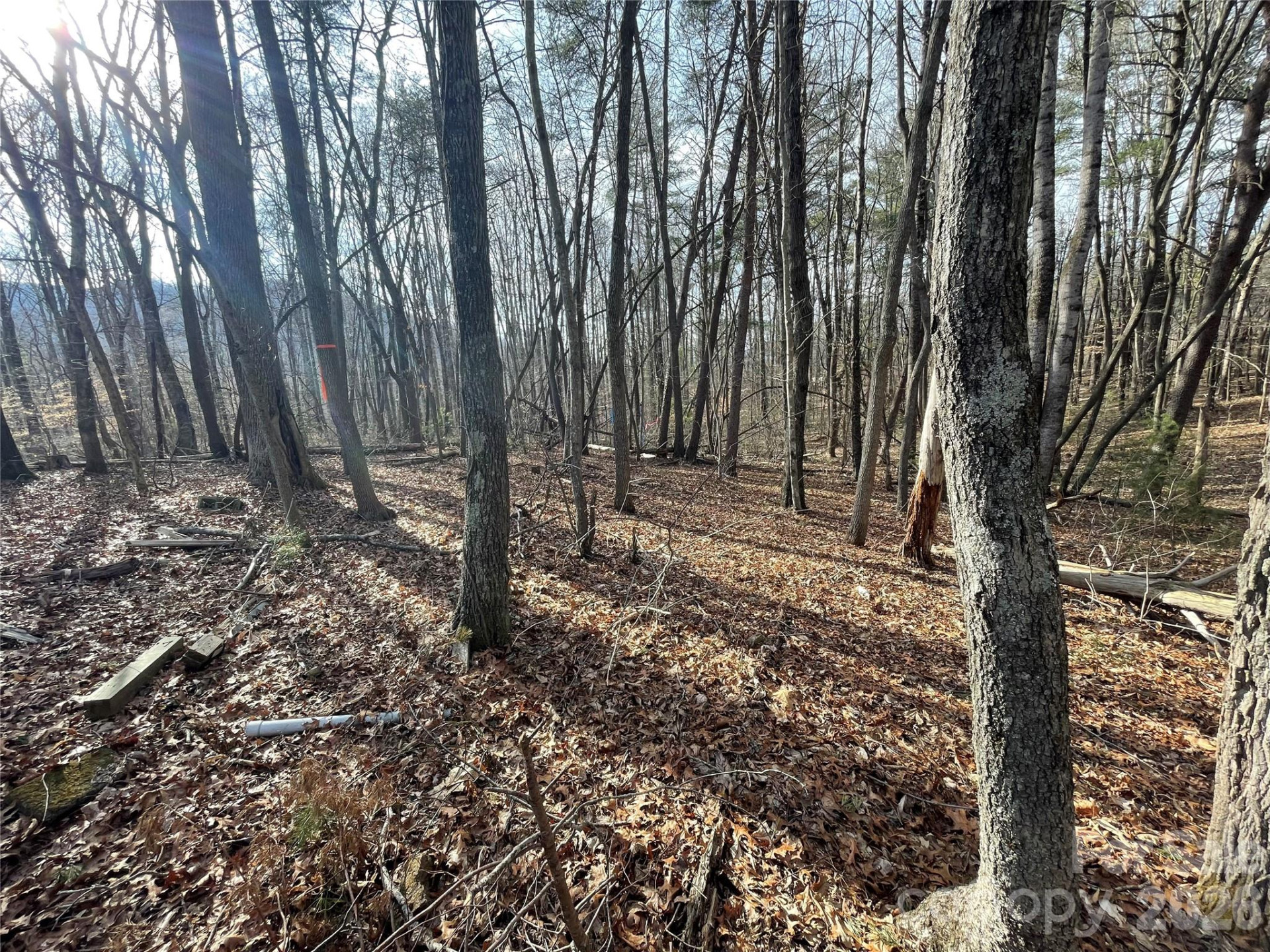 218 Max Metcalf Road - Photo 3