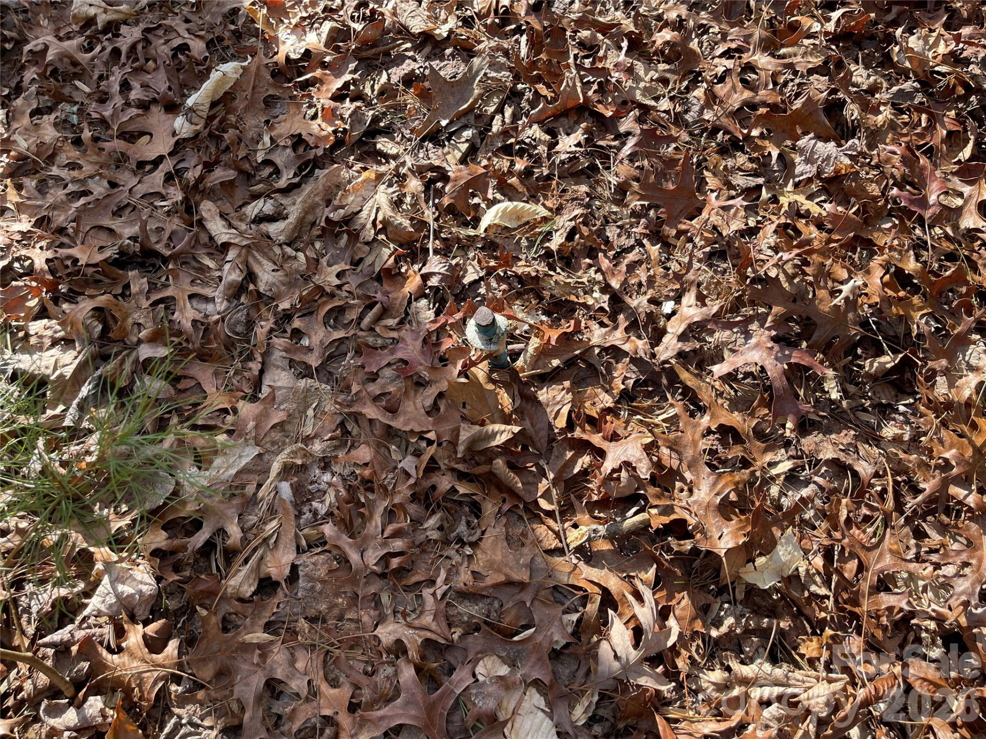 218 Max Metcalf Road - Photo 4