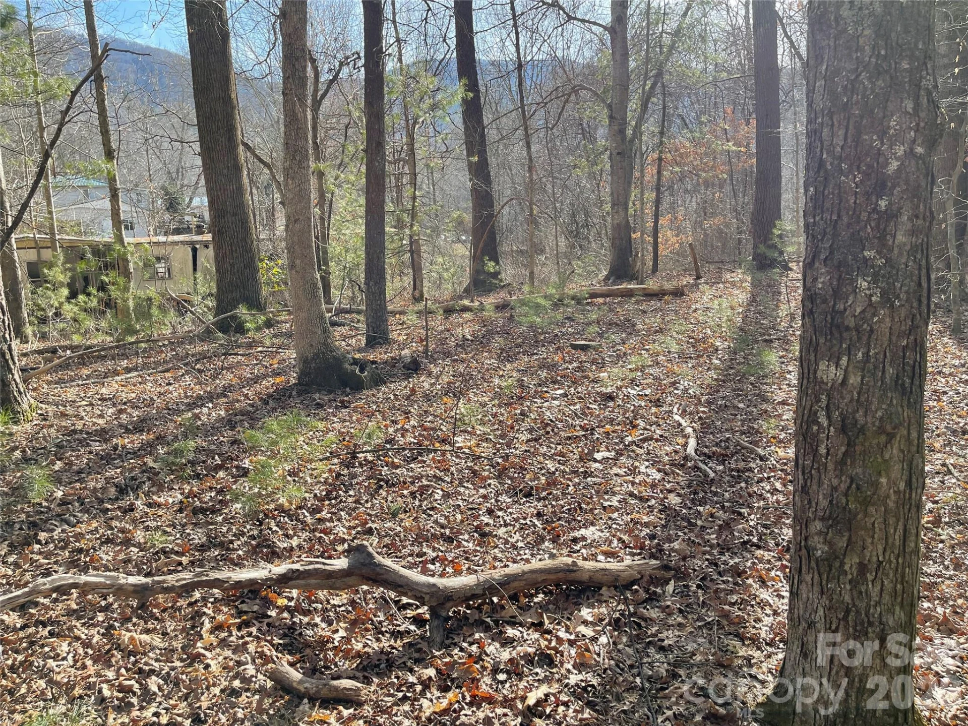 218 Max Metcalf Road - Photo 5