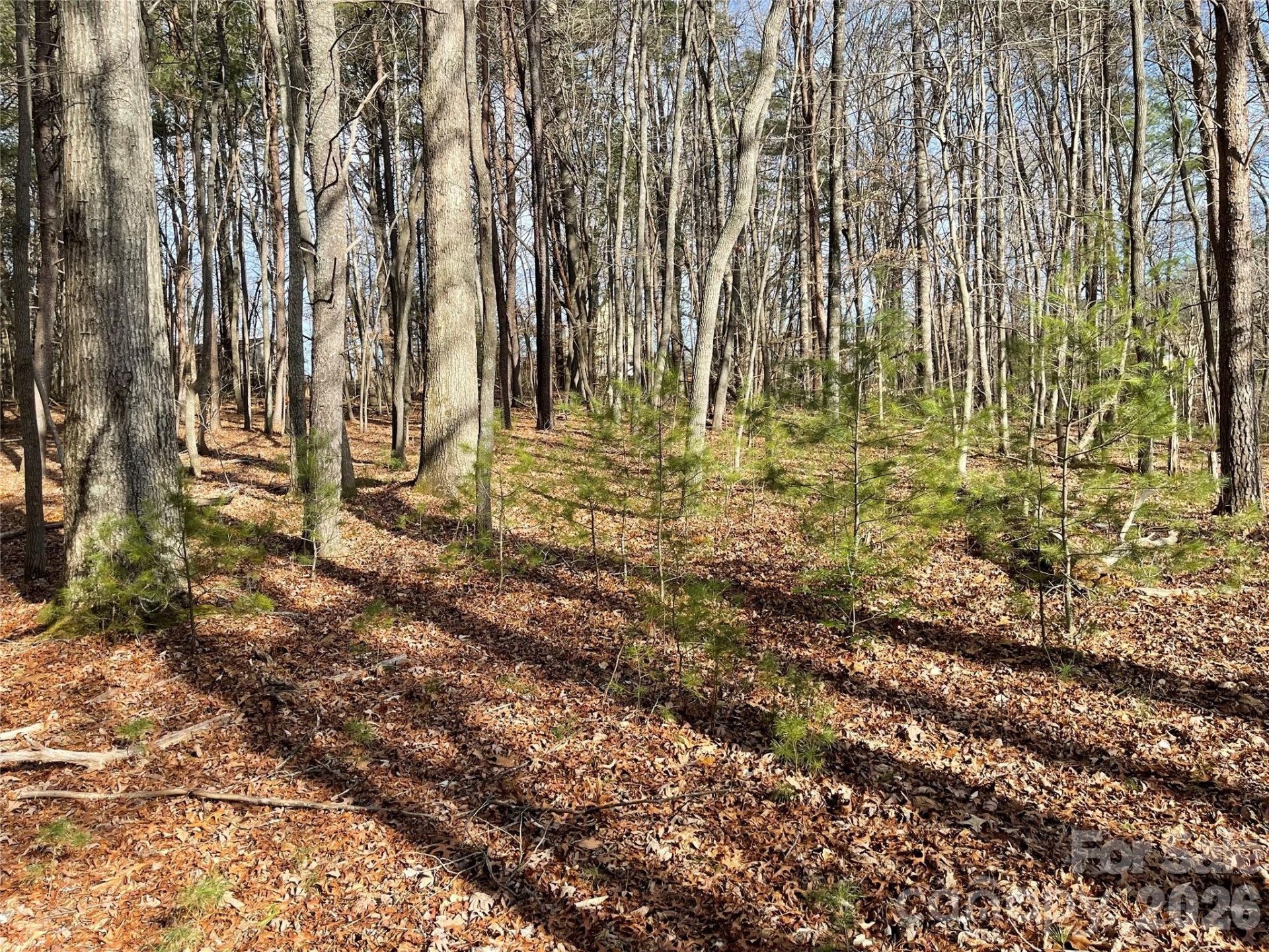 218 Max Metcalf Road - Photo 6