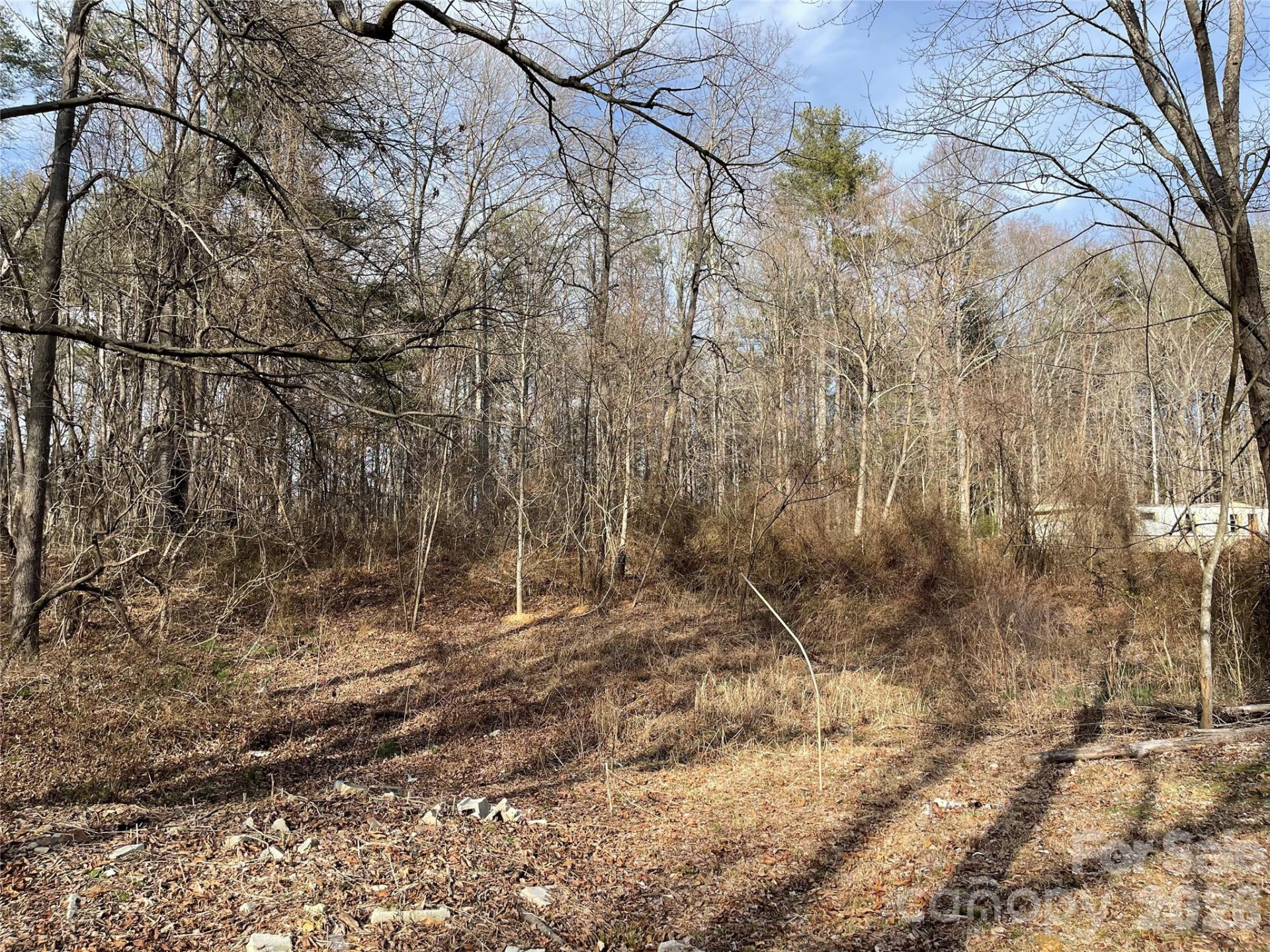 218 Max Metcalf Road - Photo 7