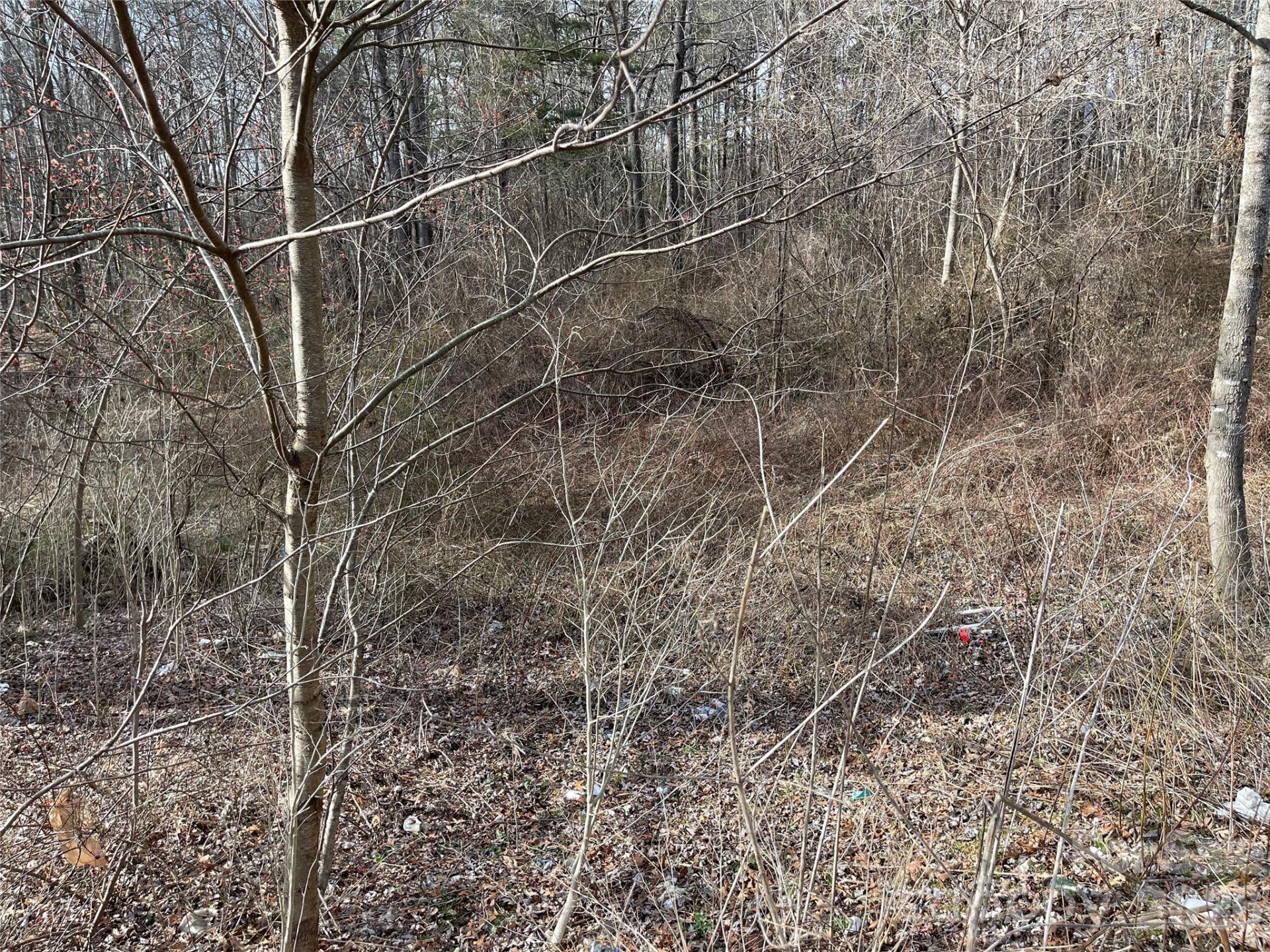 218 Max Metcalf Road - Photo 9