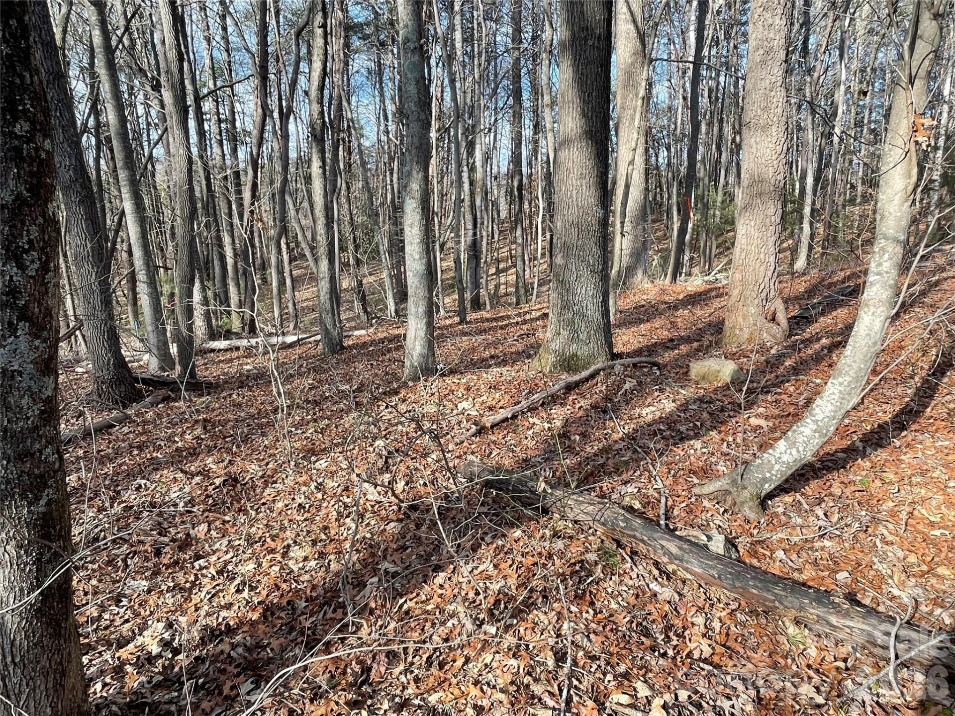 220 Max Metcalf Road