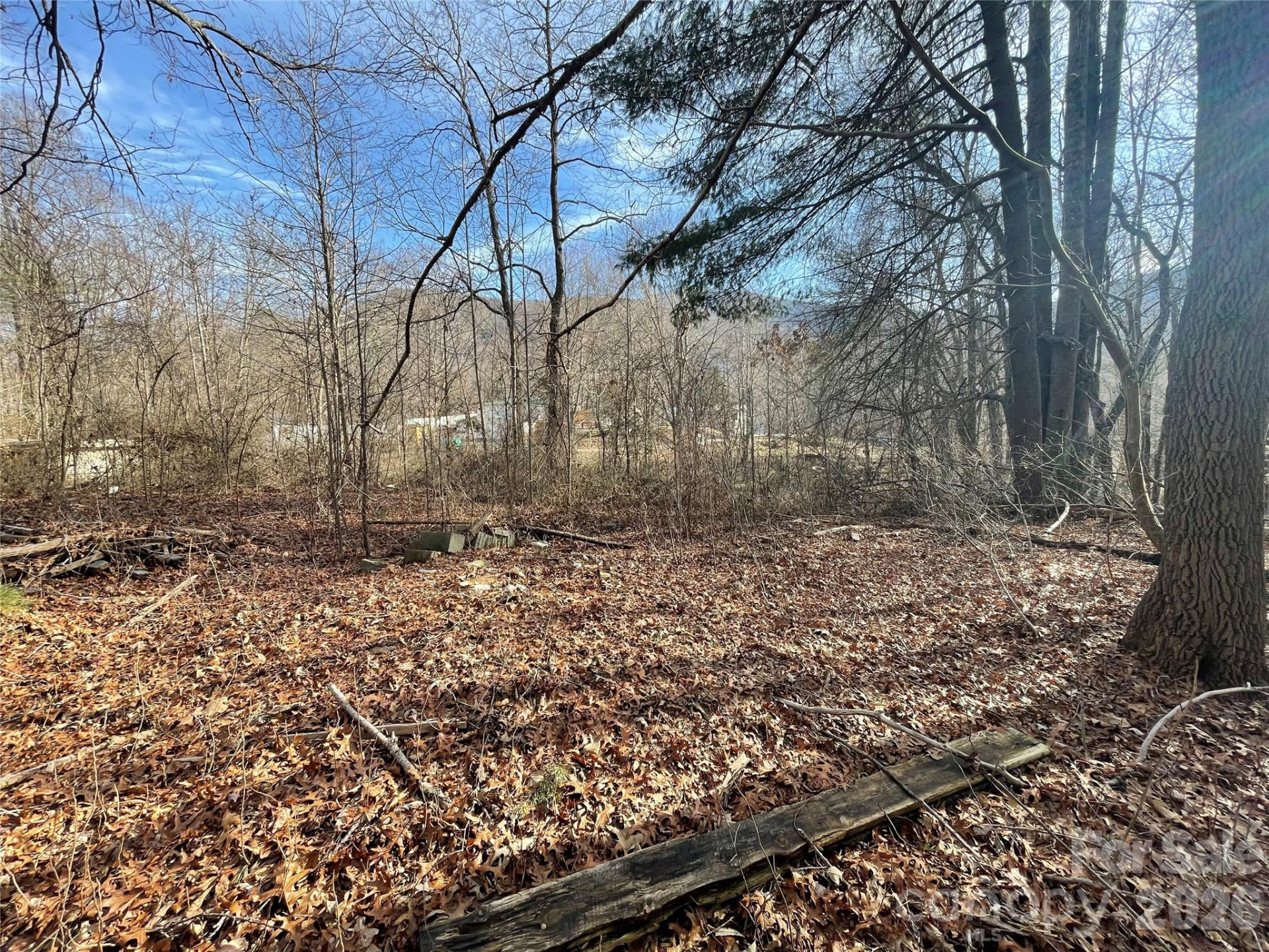 220 Max Metcalf Road - Photo 4