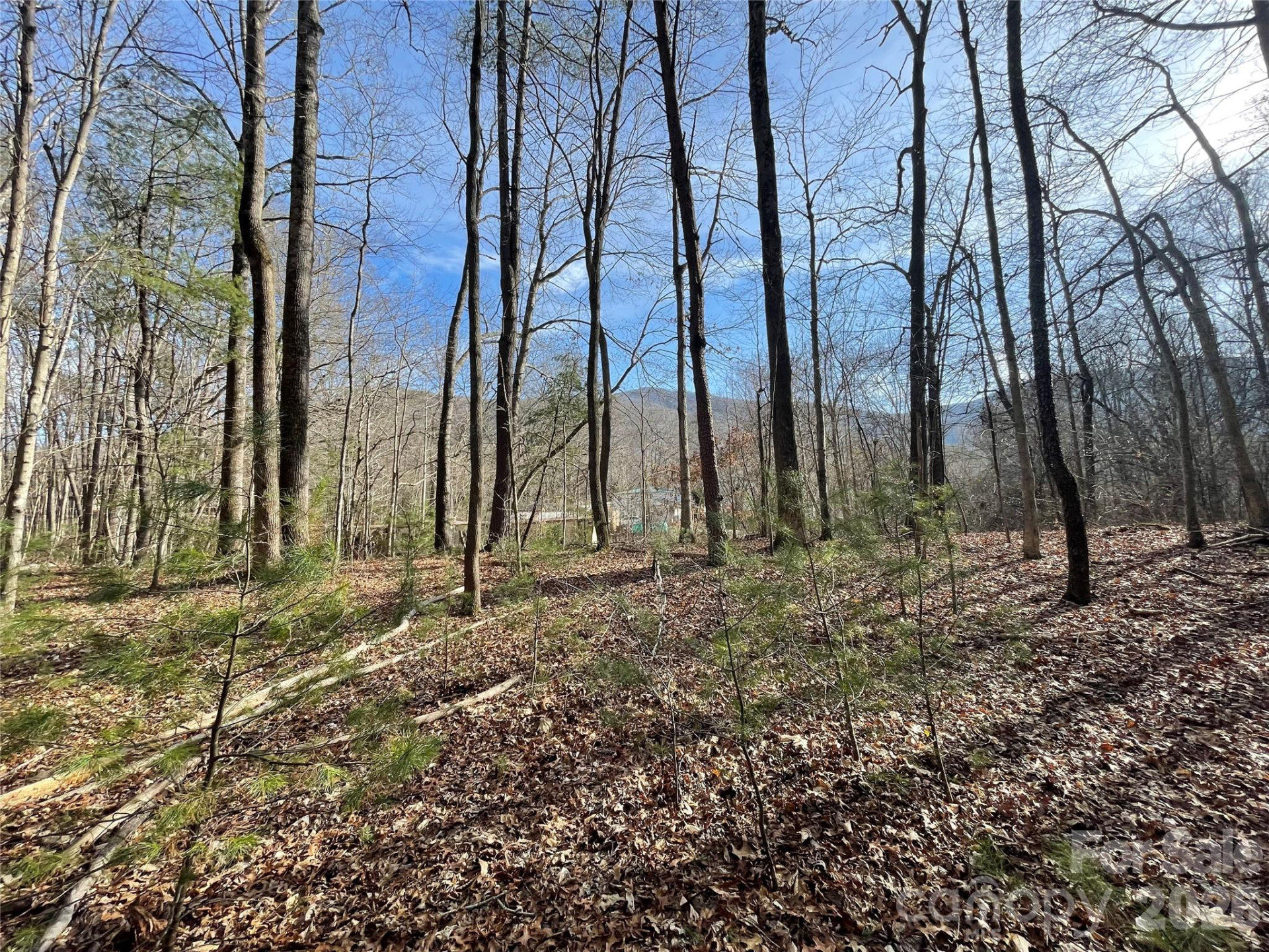 220 Max Metcalf Road - Photo 5