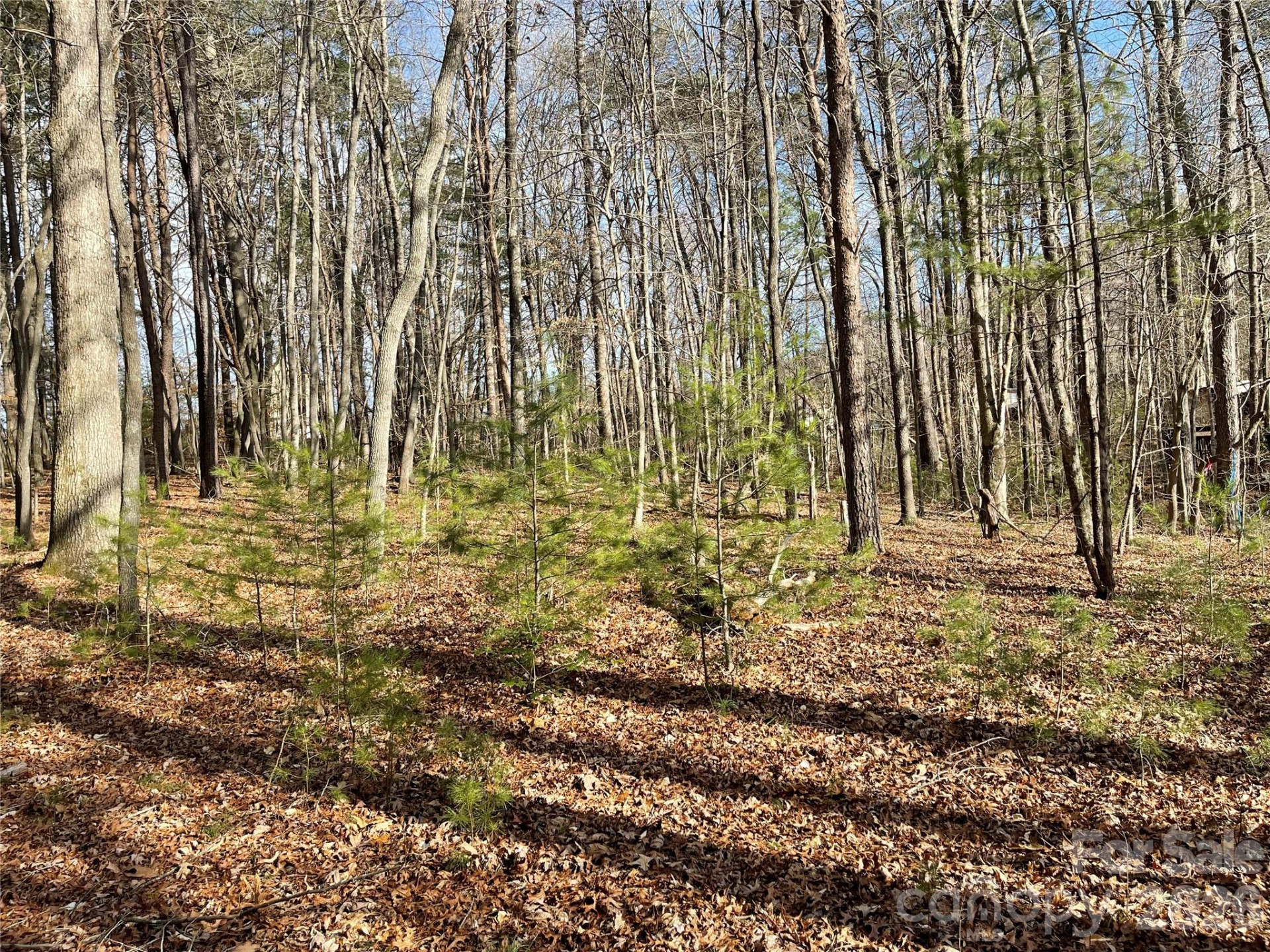 220 Max Metcalf Road - Photo 7