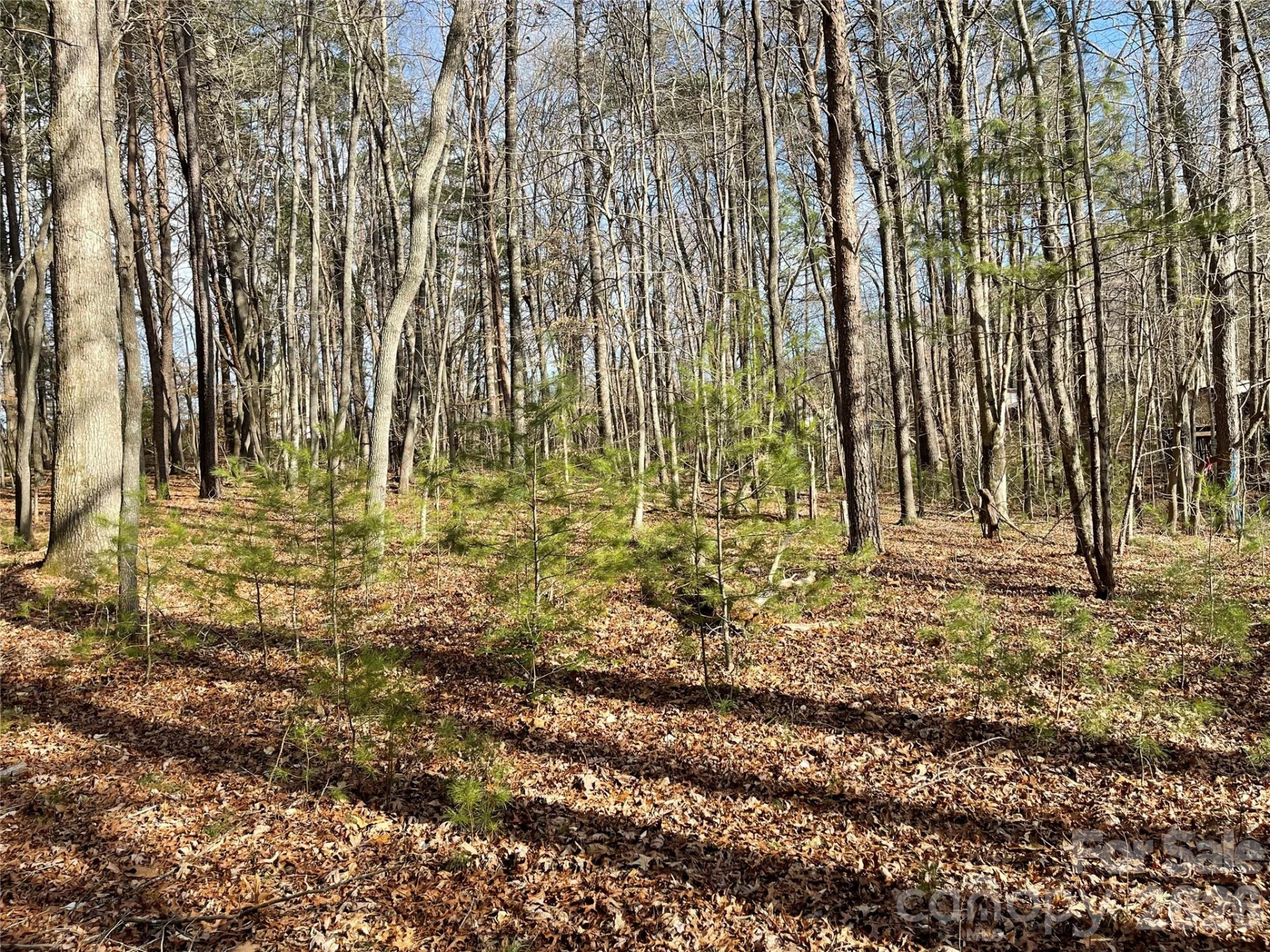 220 Max Metcalf Road - Photo 7